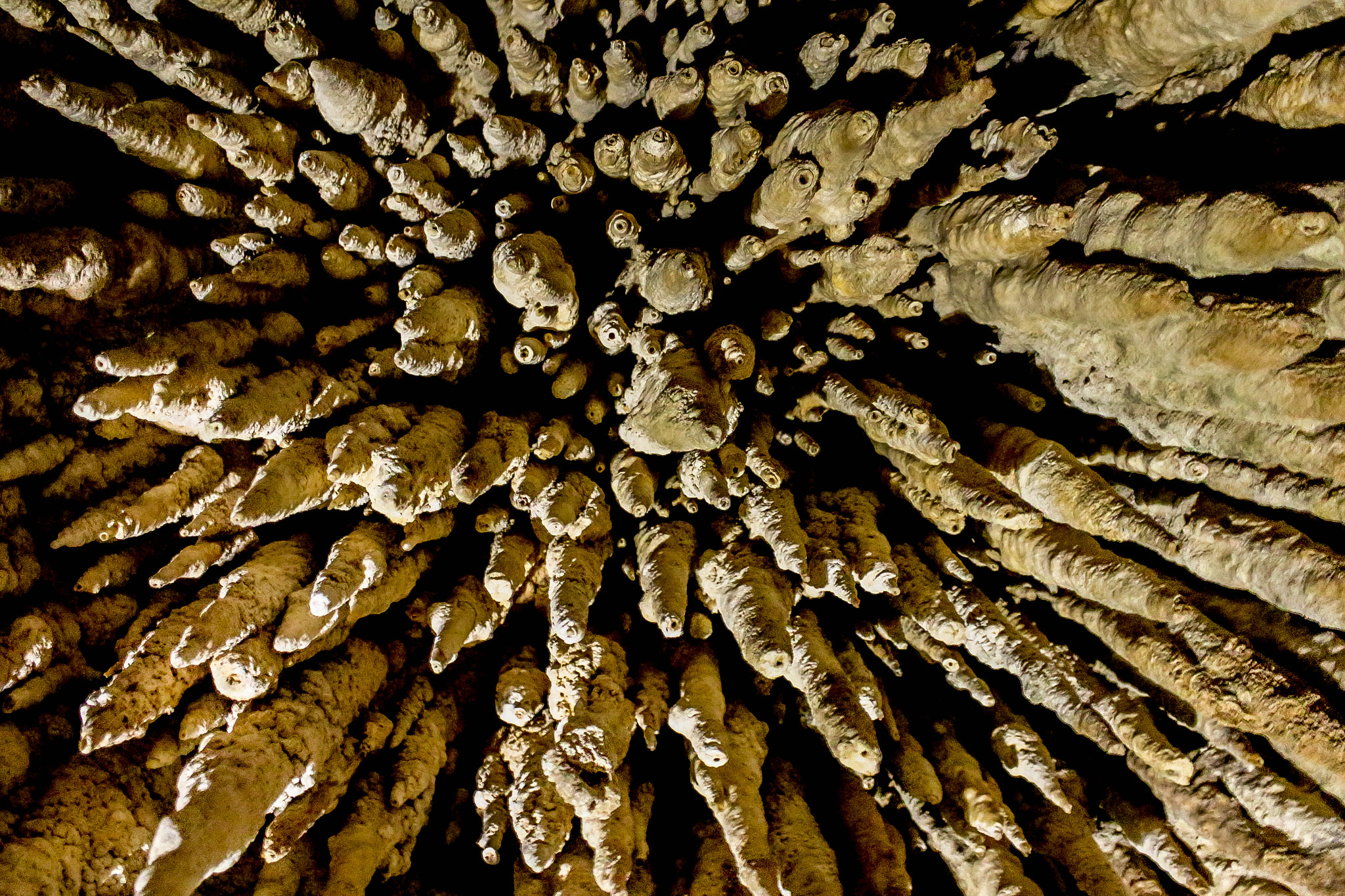 Canon EOS 650D (EOS Rebel T4i / EOS Kiss X6i) sample photo. Stalagmite photography