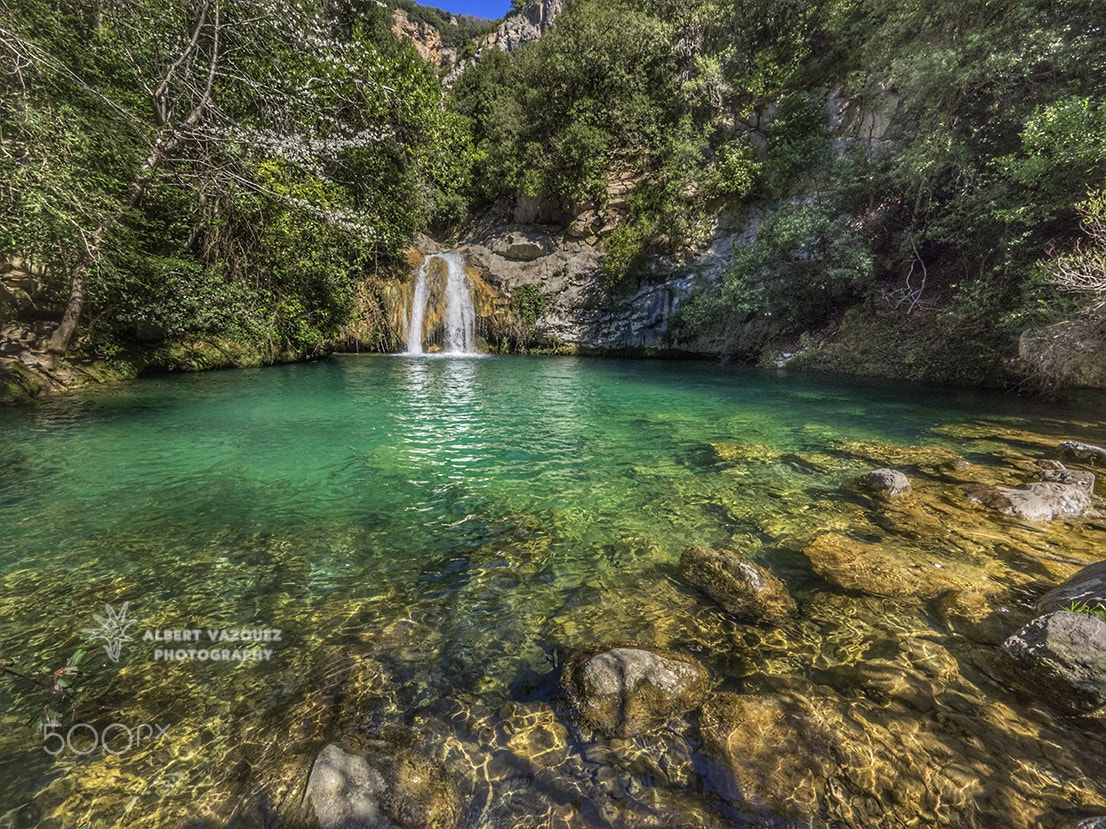 Olympus OM-D E-M1 + Panasonic Lumix G Vario 7-14mm F4 ASPH sample photo. The green pool photography