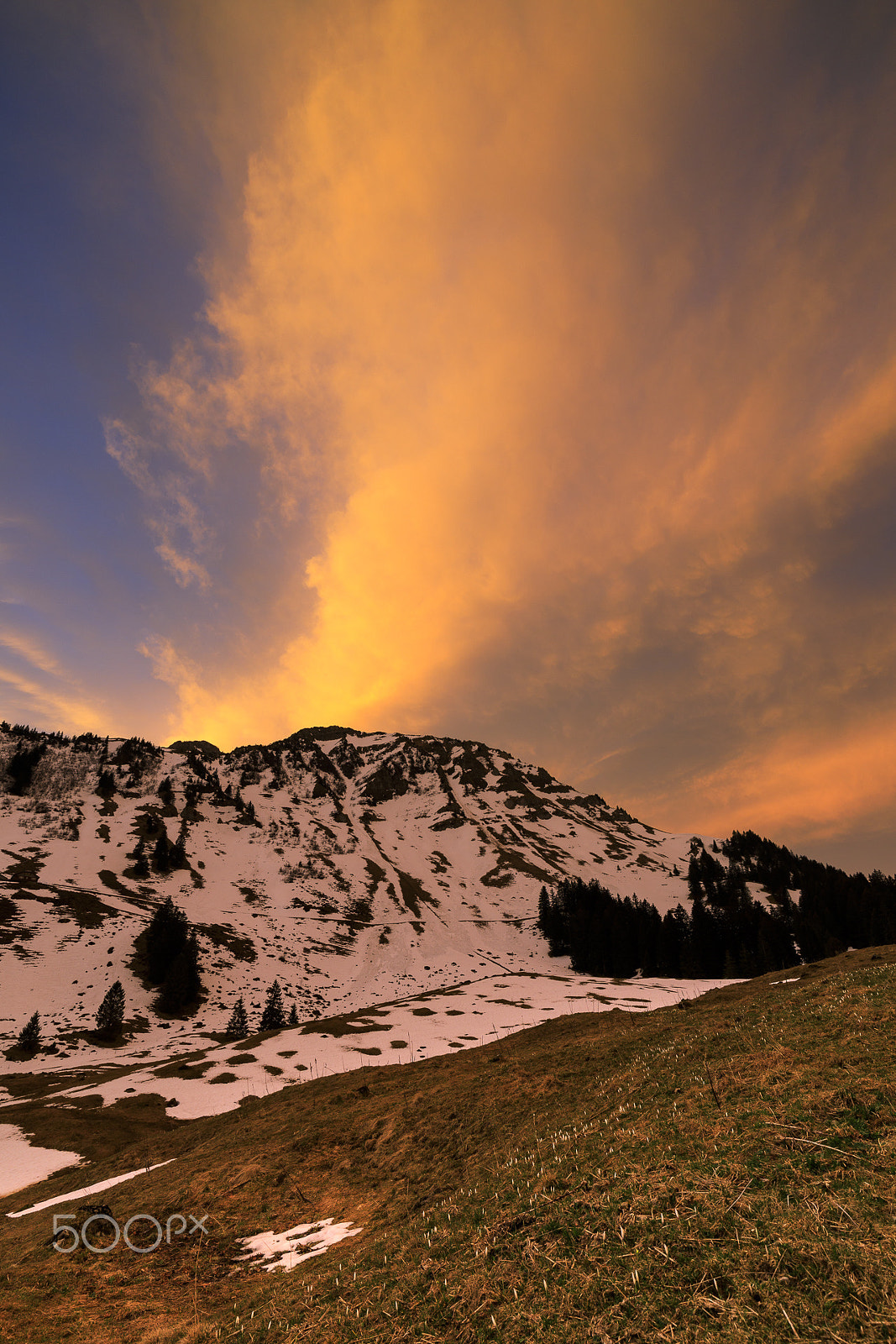 Canon EF 16-35mm F4L IS USM sample photo. Alpstein morning ii photography