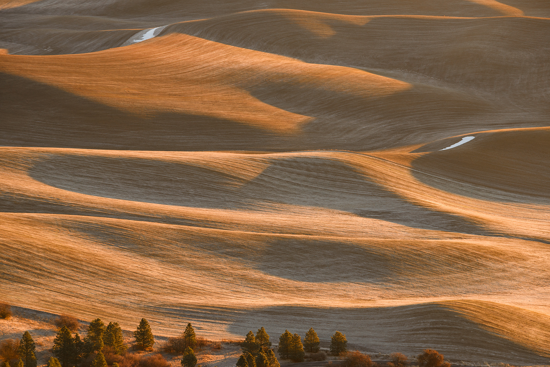 Nikon D800 + Sigma 70-200mm F2.8 EX DG OS HSM sample photo. The palouse photography