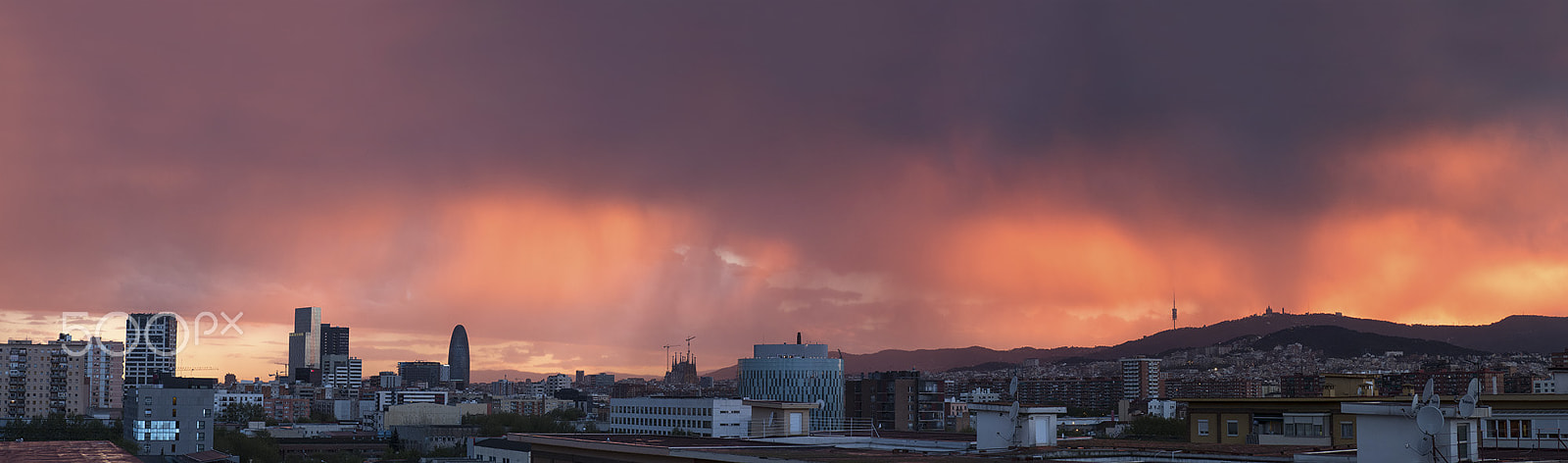 Olympus OM-D E-M5 II sample photo. The sky was pink photography