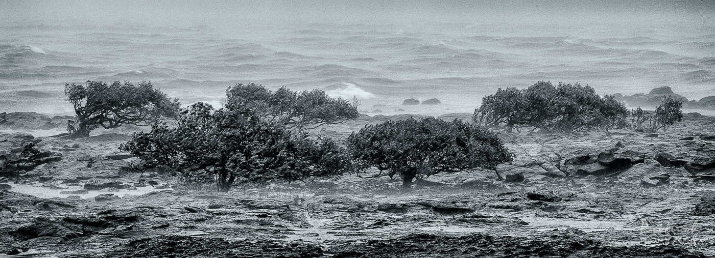 Nikon AF-S Nikkor 70-200mm F4G ED VR sample photo. Cyclone debbie photography