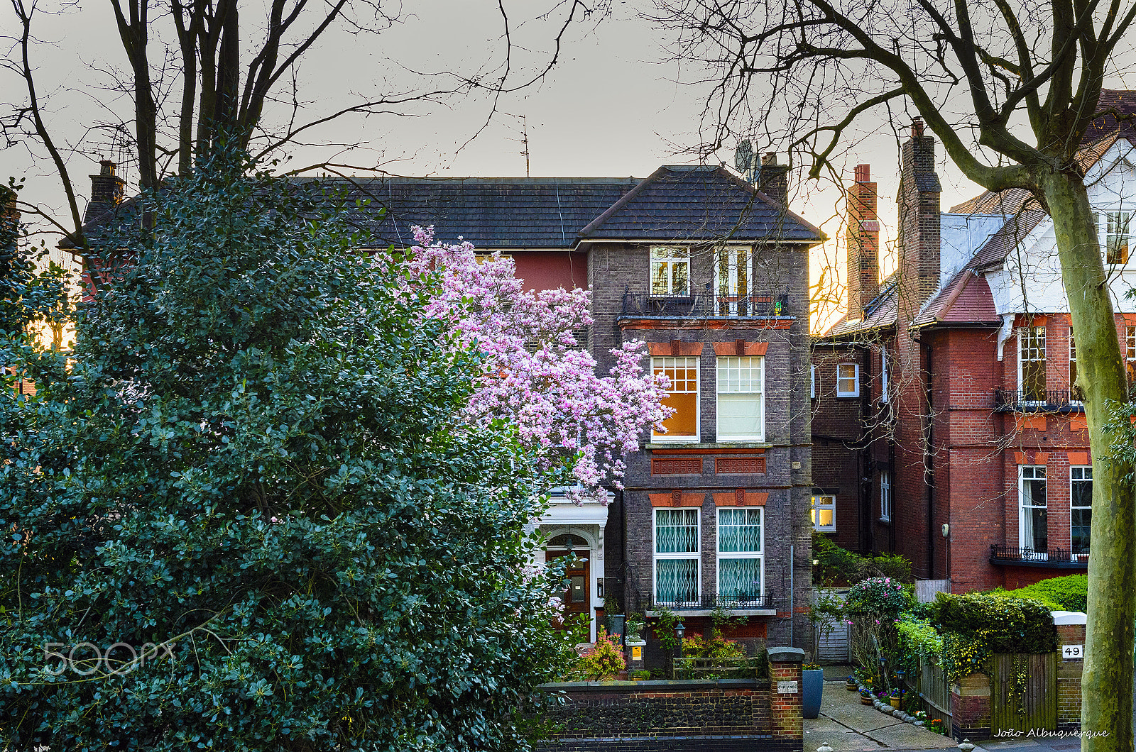 Nikon AF-S Nikkor 24-70mm F2.8G ED sample photo. A house with a tree at sunset photography