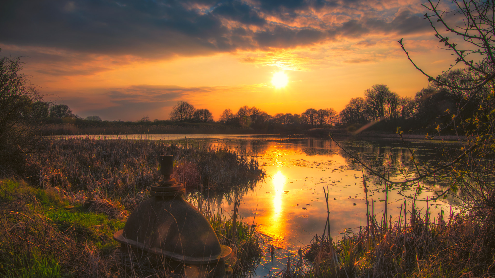 Nikon D5500 sample photo. Dawning gold photography