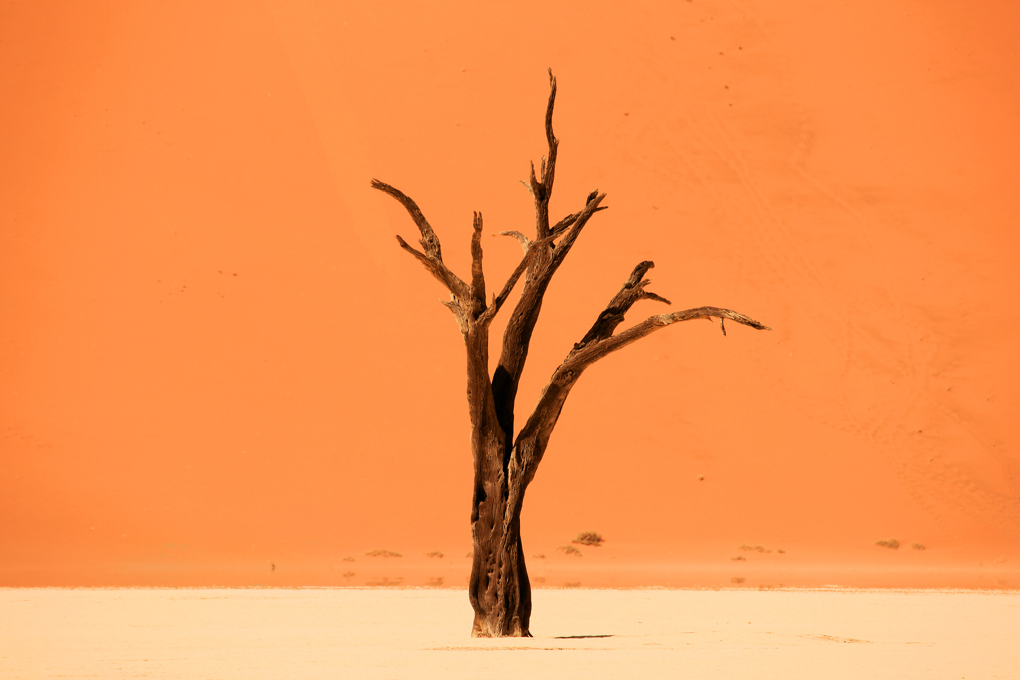 Canon EF-S 55-250mm F4-5.6 IS STM sample photo. Deadvlei photography