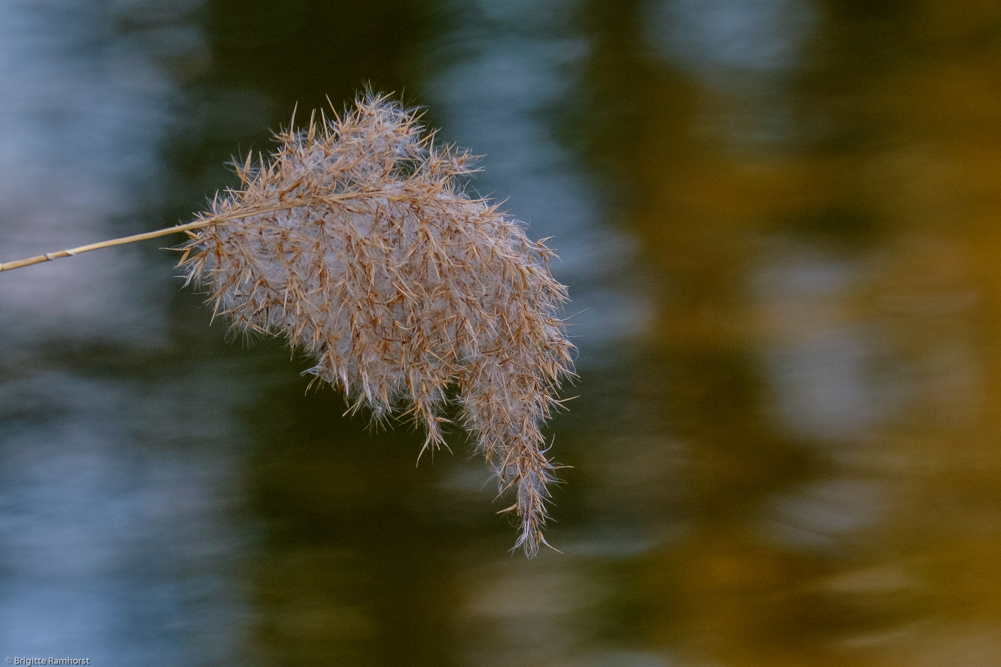 Fujifilm X-E2 + Fujifilm XF 55-200mm F3.5-4.8 R LM OIS sample photo. Nähe galmeihalde bei kelmis photography