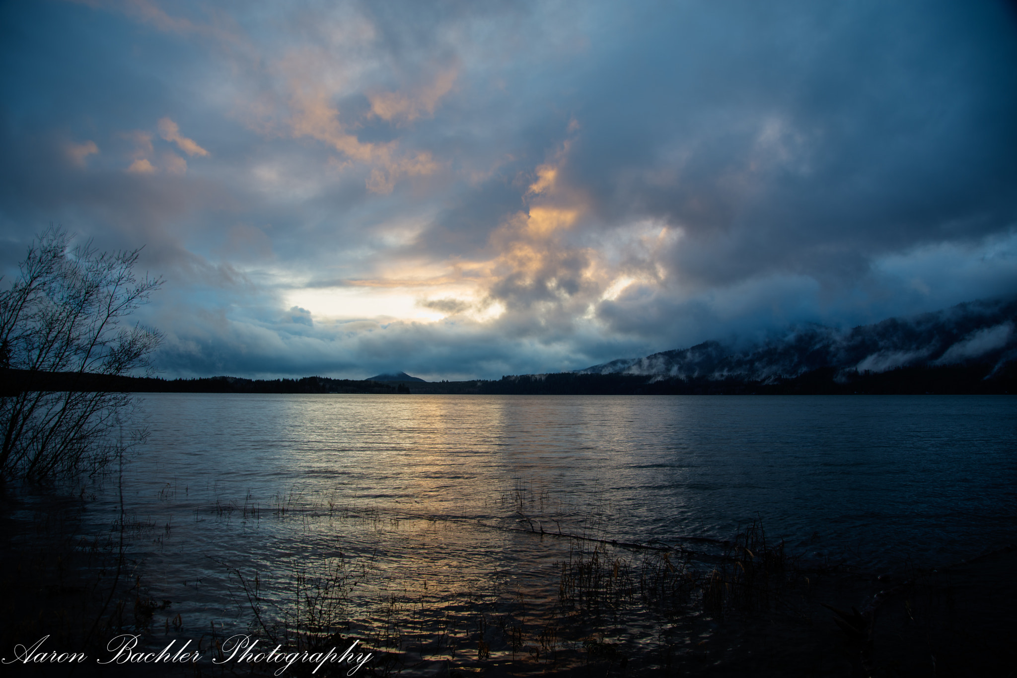 Nikon D610 sample photo. Lake quinault photography