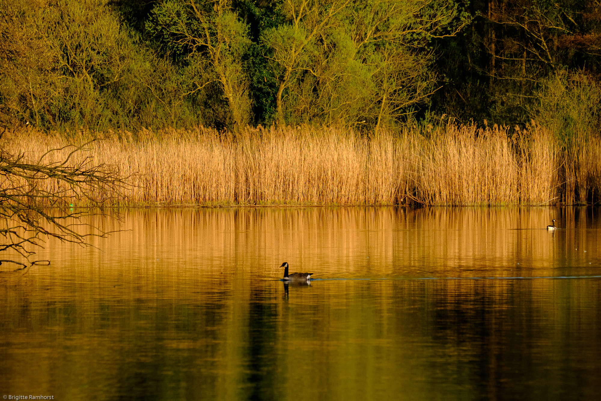 Fujifilm X-E2 + Fujifilm XF 55-200mm F3.5-4.8 R LM OIS sample photo. Nähe galmeihalde bei kelmis photography