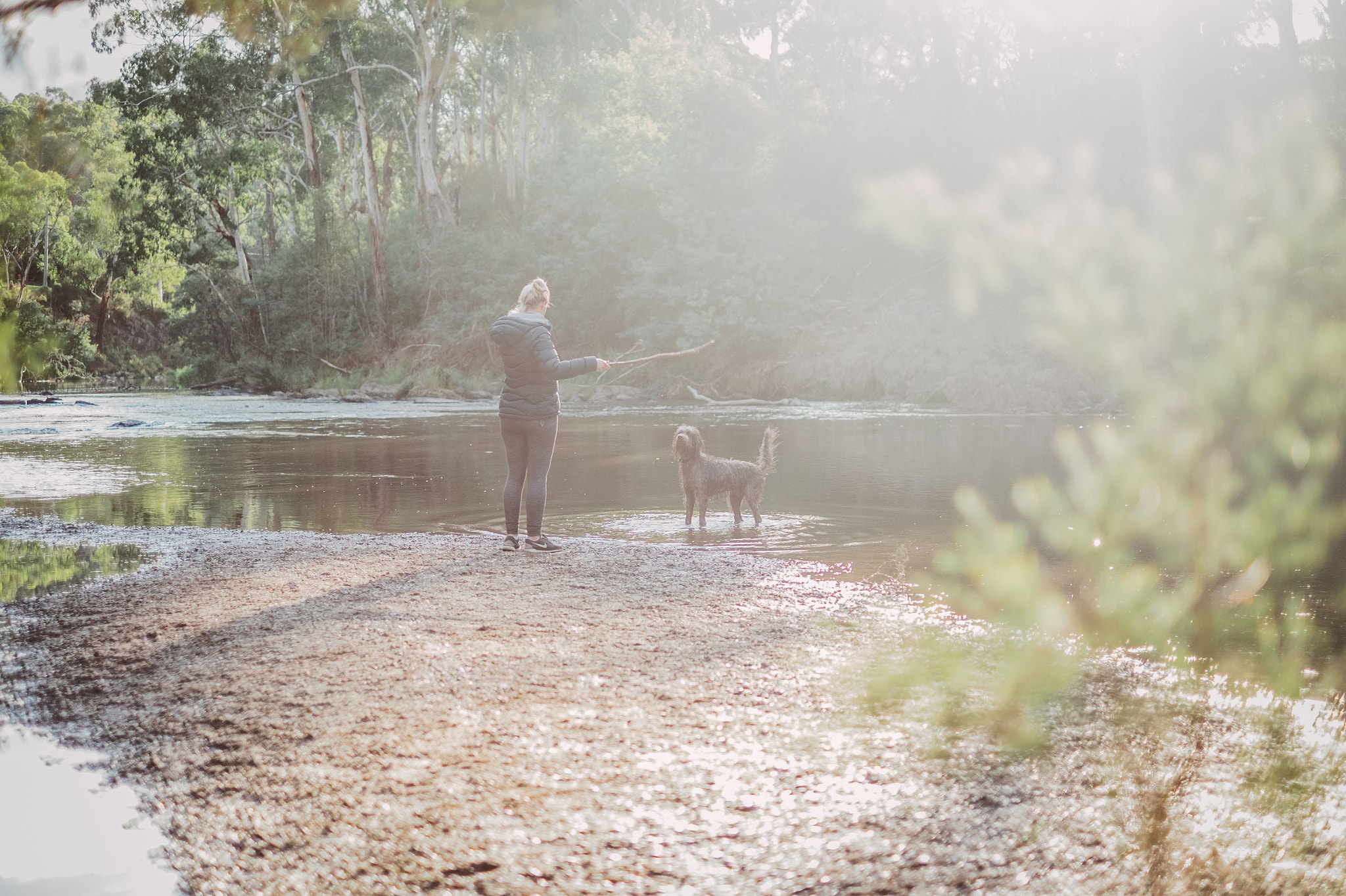 Fujifilm X-T1 + Fujifilm XF 35mm F1.4 R sample photo. Fetch photography