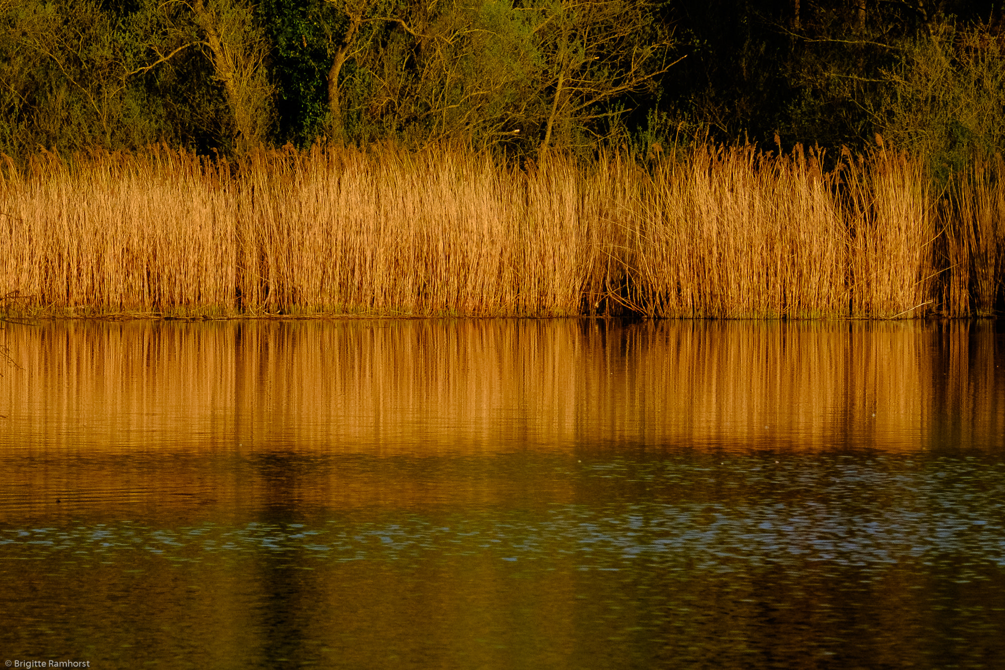 Fujifilm X-E2 + Fujifilm XF 55-200mm F3.5-4.8 R LM OIS sample photo. Nähe galmeihalde bei kelmis photography