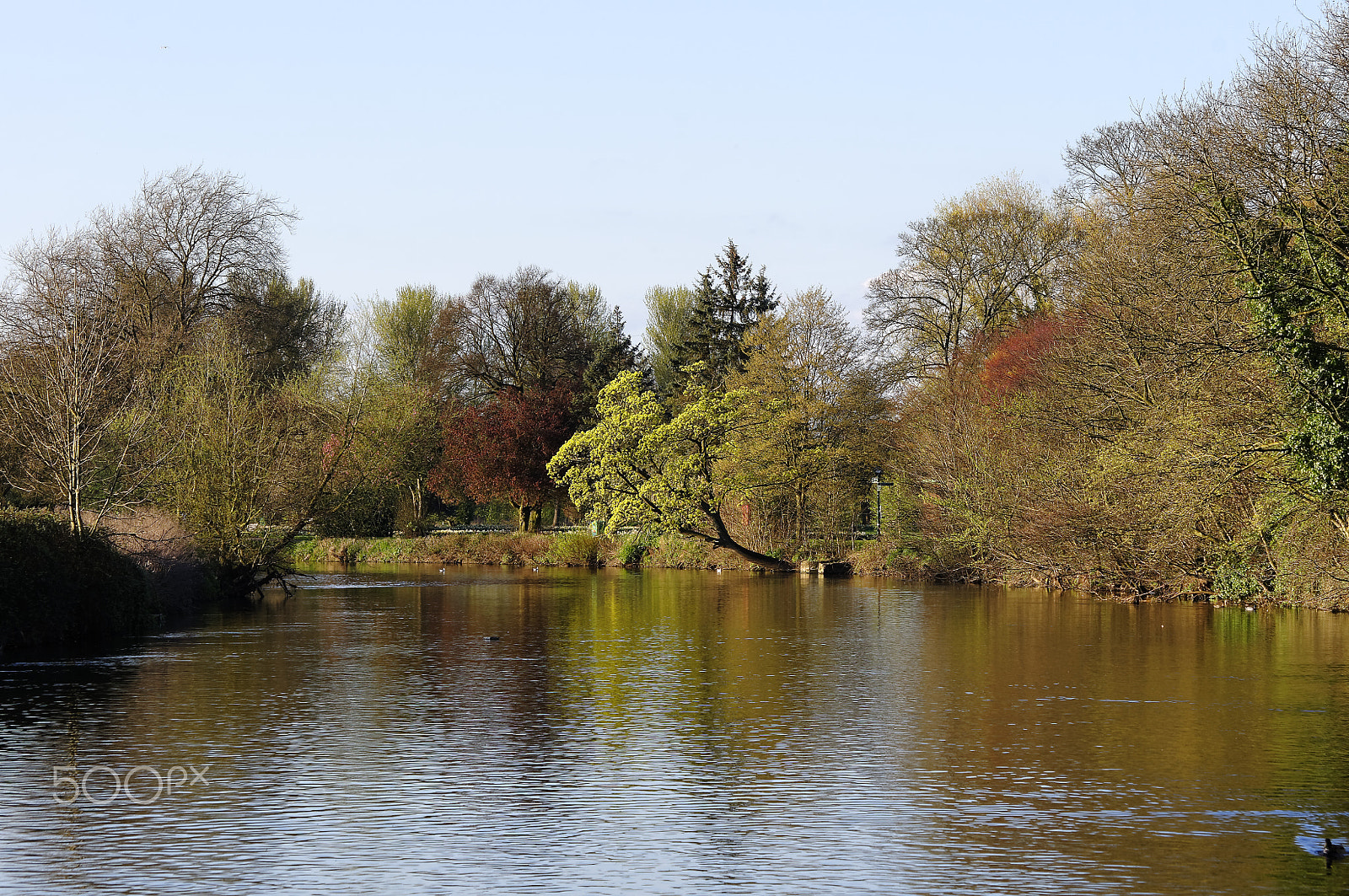 Pentax K-r sample photo. River trent and park photography