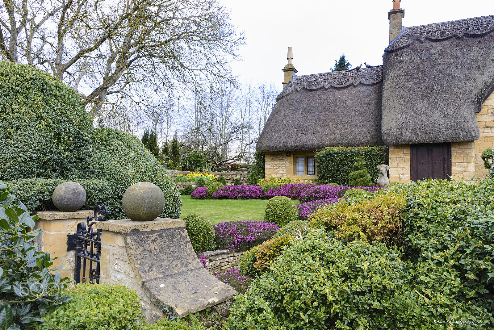 Nikon AF-S Nikkor 24-70mm F2.8G ED sample photo. House with a garden photography