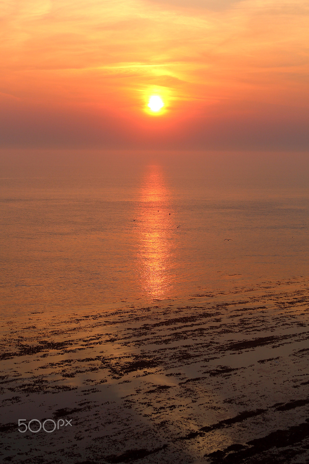 Canon EF 28-135mm F3.5-5.6 IS USM sample photo. Sunset photography