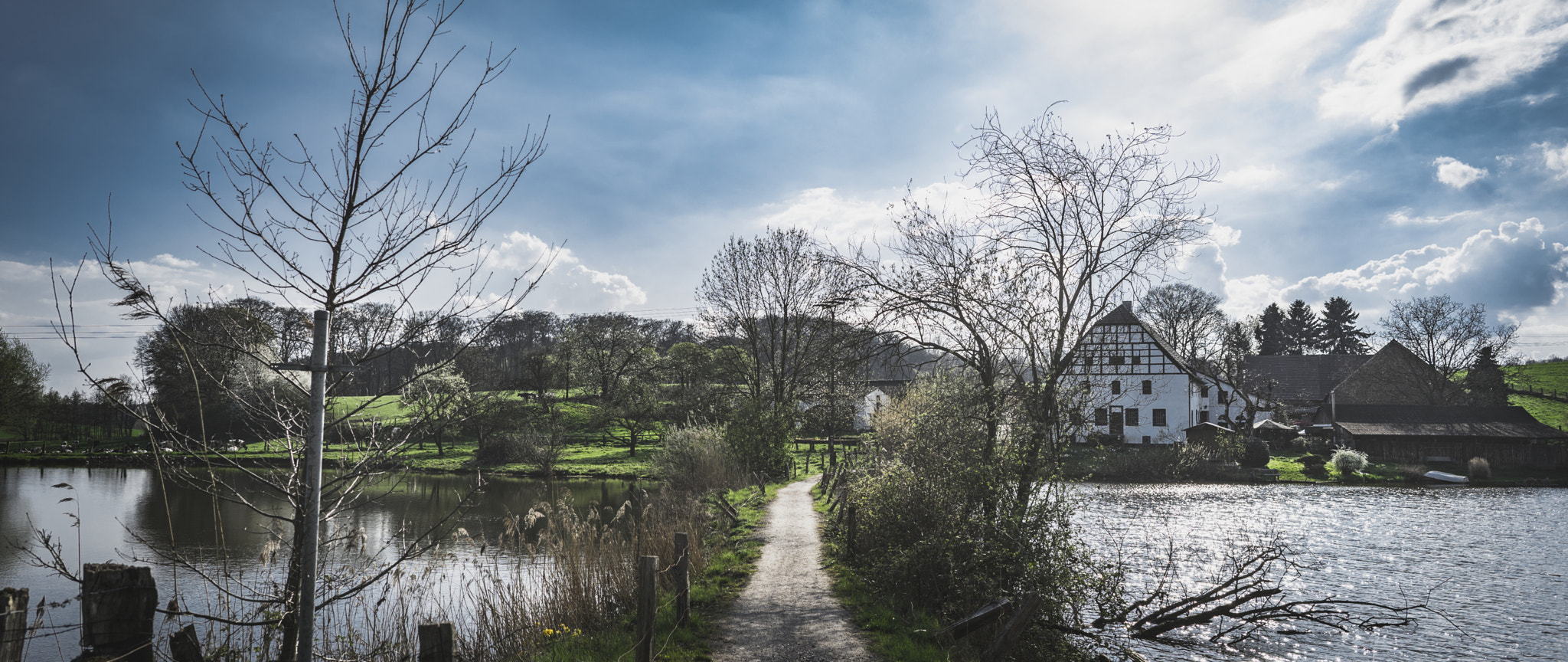 Sony a7R + ZEISS Batis 25mm F2 sample photo. My favourite place to be photography