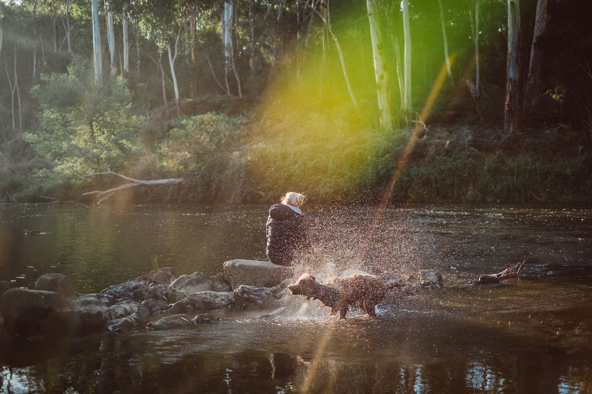 Fujifilm X-T1 sample photo. Shake photography