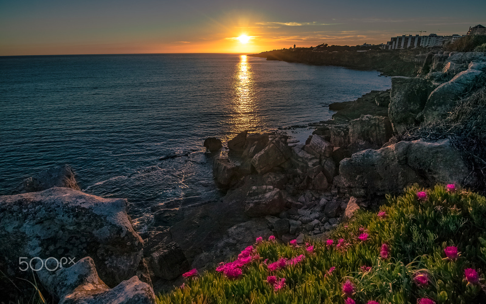 Canon EF-M 11-22mm F4-5.6 IS STM sample photo. Love nature photography