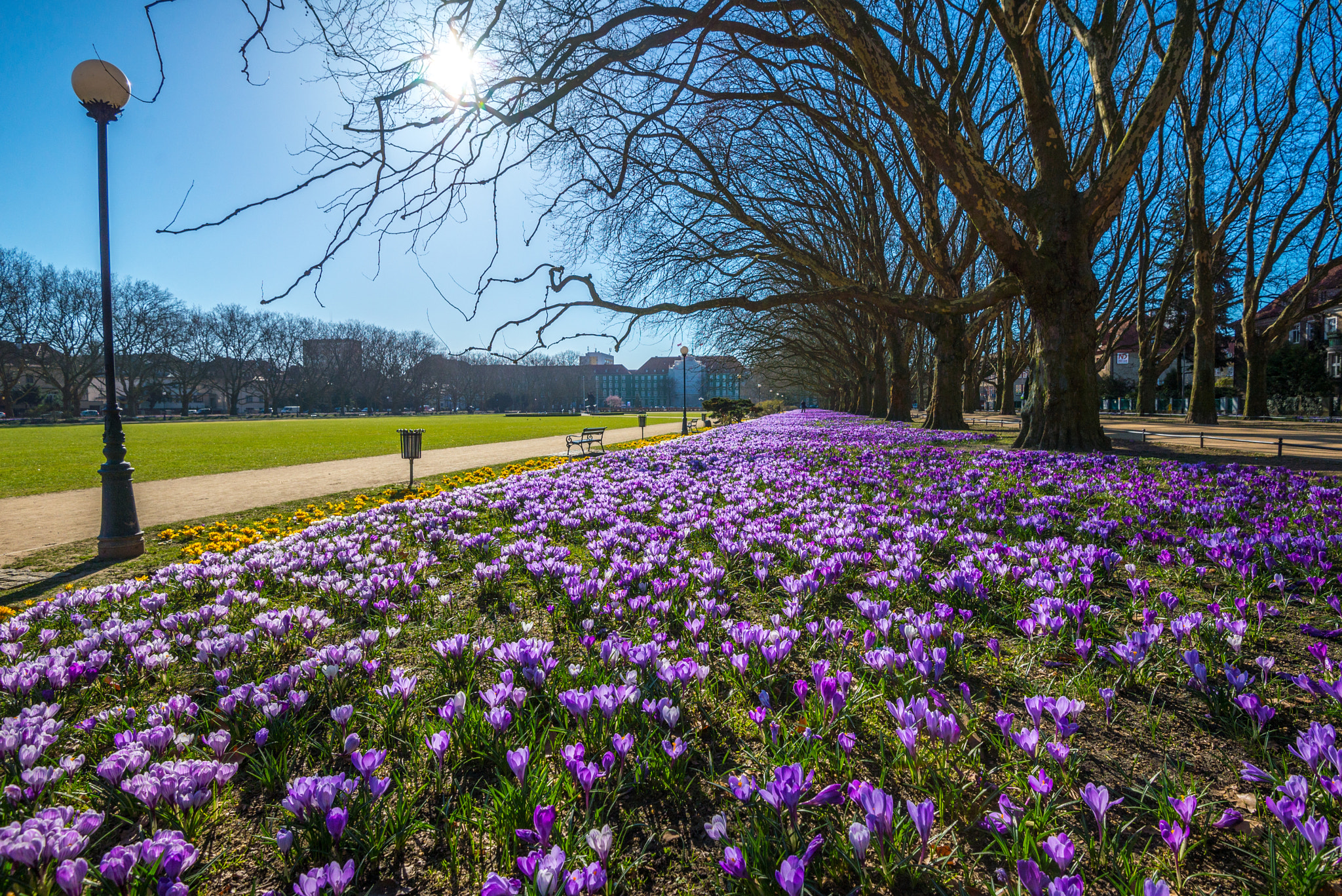 Nikon AF-S Nikkor 16-35mm F4G ED VR sample photo. Spring photography