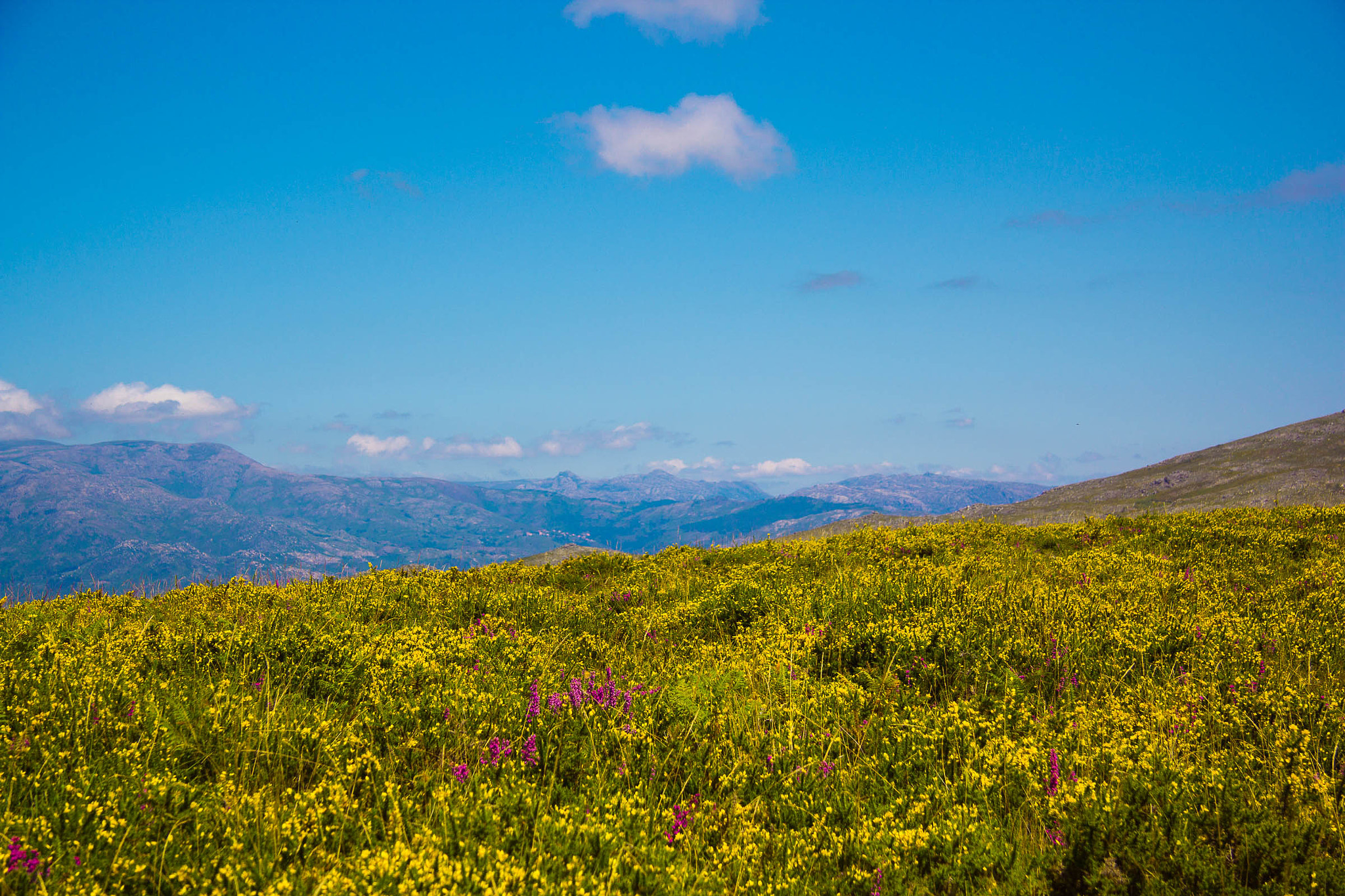 Canon EF-S 17-85mm F4-5.6 IS USM sample photo. Gerês photography