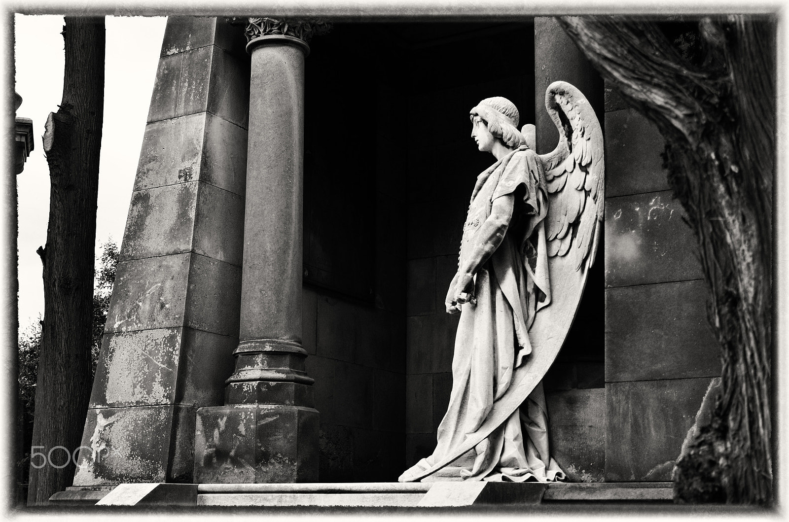 Nikon D7000 + Tamron SP AF 17-50mm F2.8 XR Di II VC LD Aspherical (IF) sample photo. Angel in waiting photography