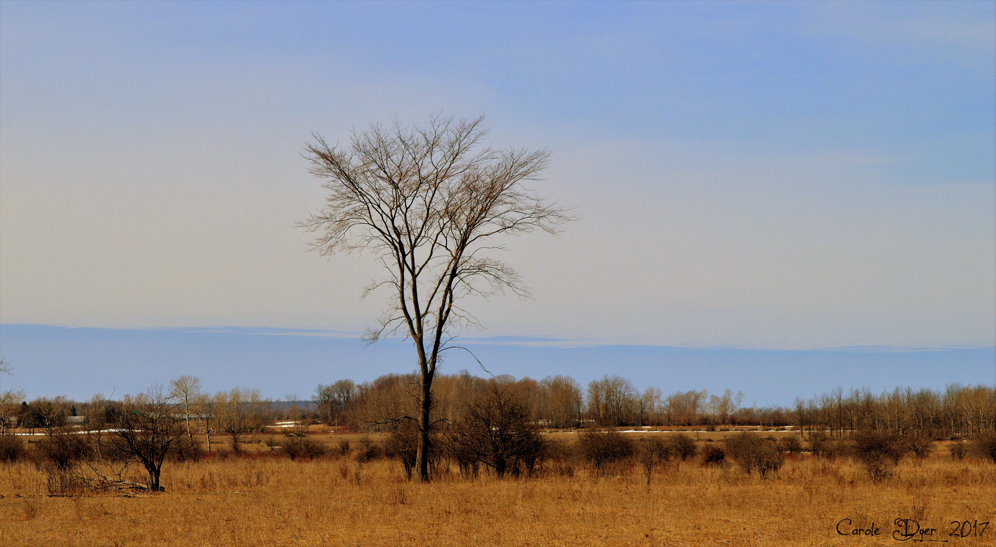 Nikon D3200 sample photo. Above all photography