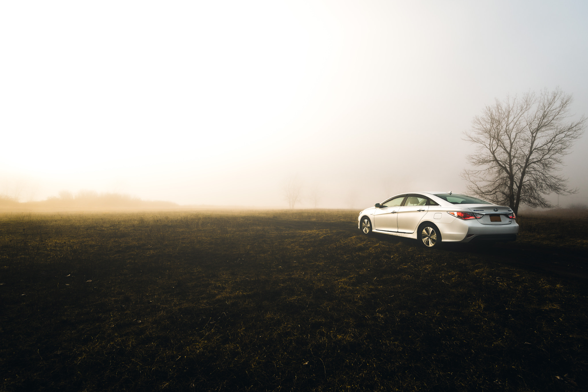 Nikon AF-S Nikkor 16-35mm F4G ED VR sample photo. Hyundai facing foggy photography