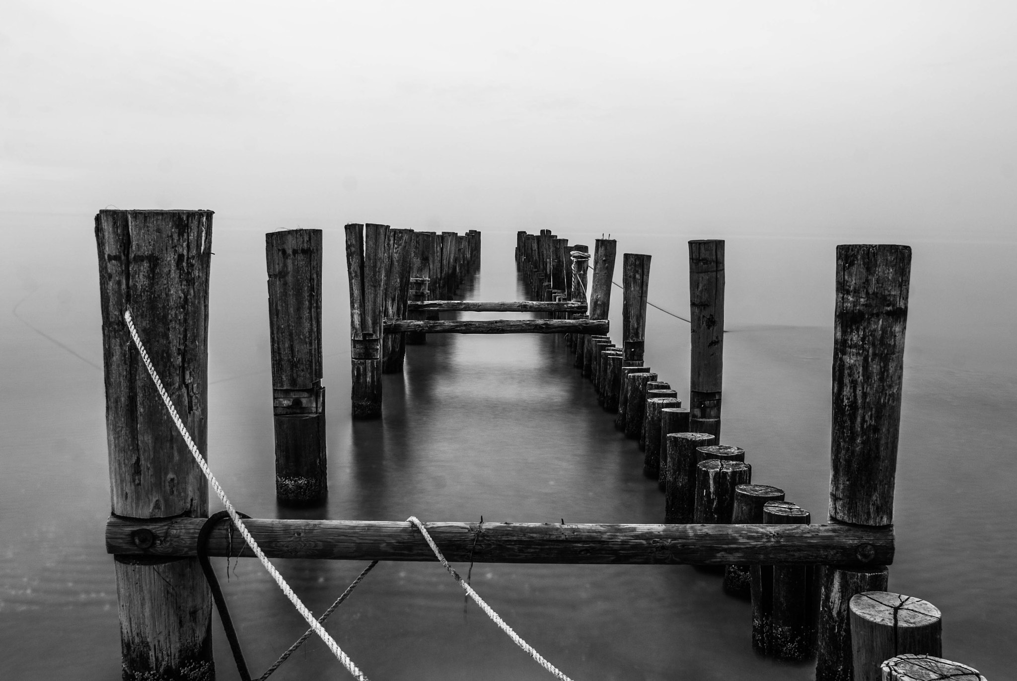 Nikon D40X sample photo. Baltic sea photography