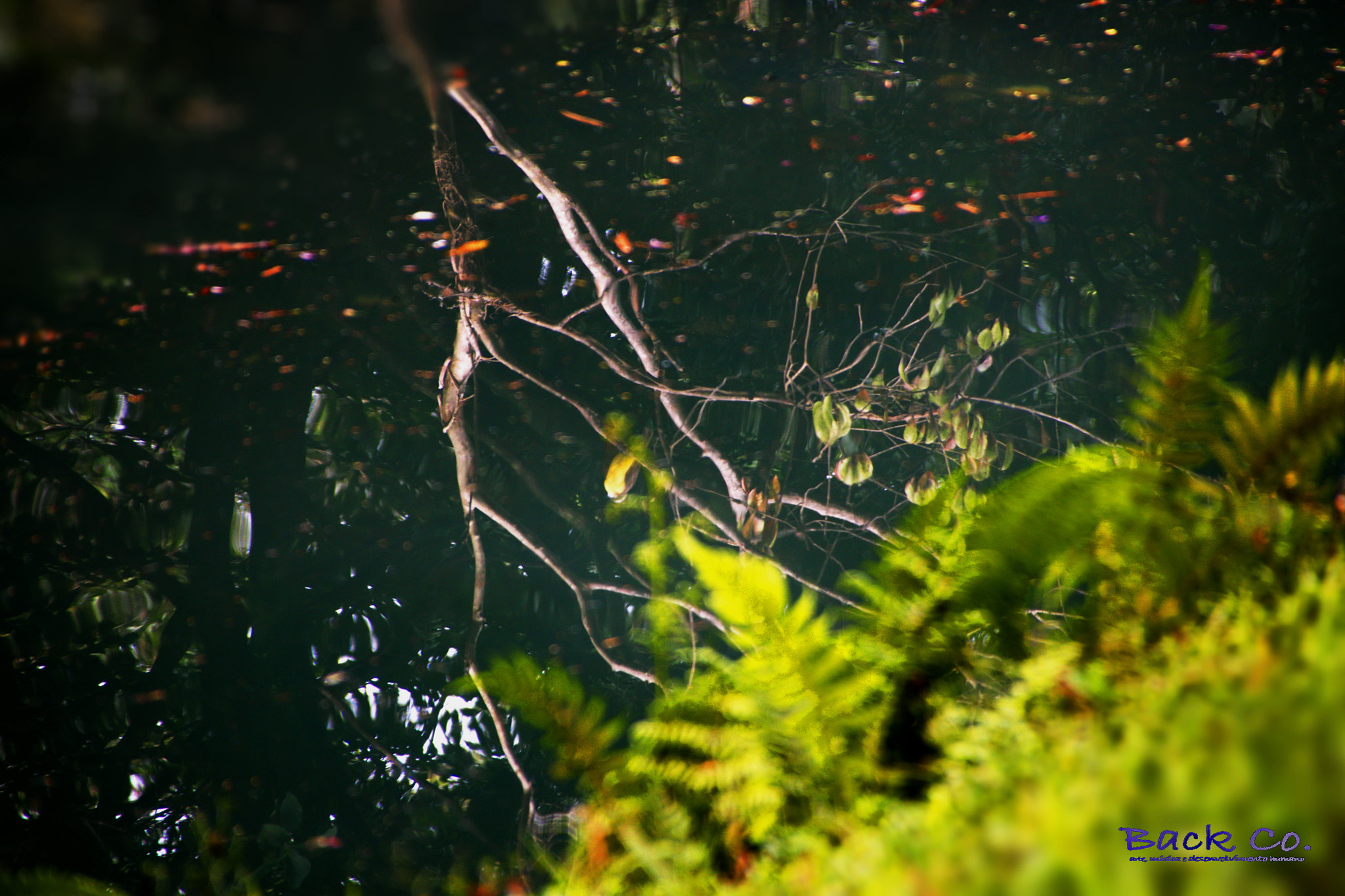 Sigma 18-250mm F3.5-6.3 DC OS HSM sample photo. Portifolio photography