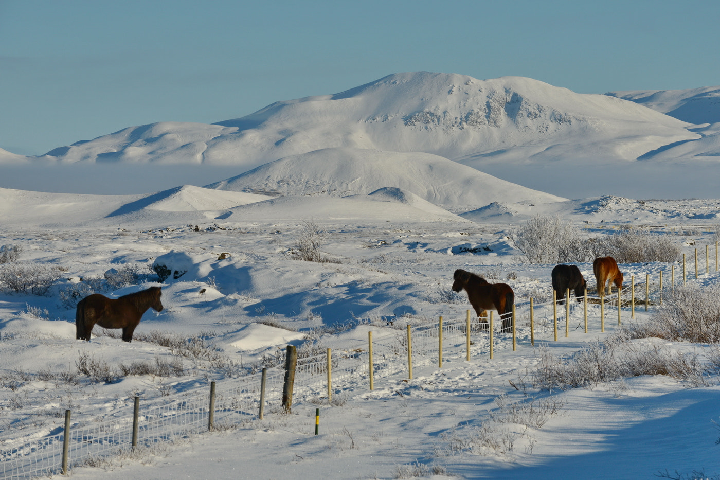 Nikon D800E sample photo. Iceland landscapes photography