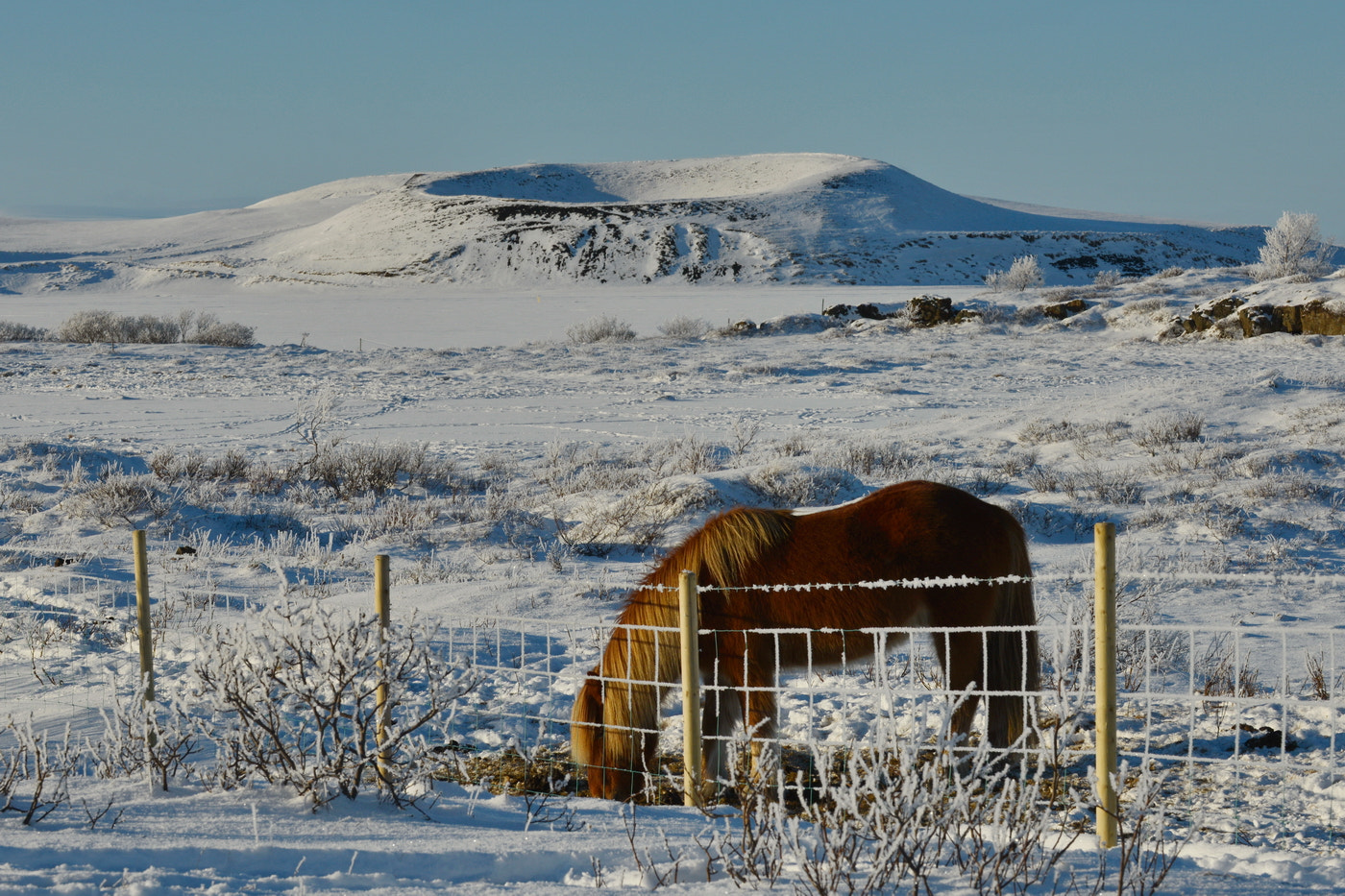 Nikon D800E sample photo. Iceland landscapes photography