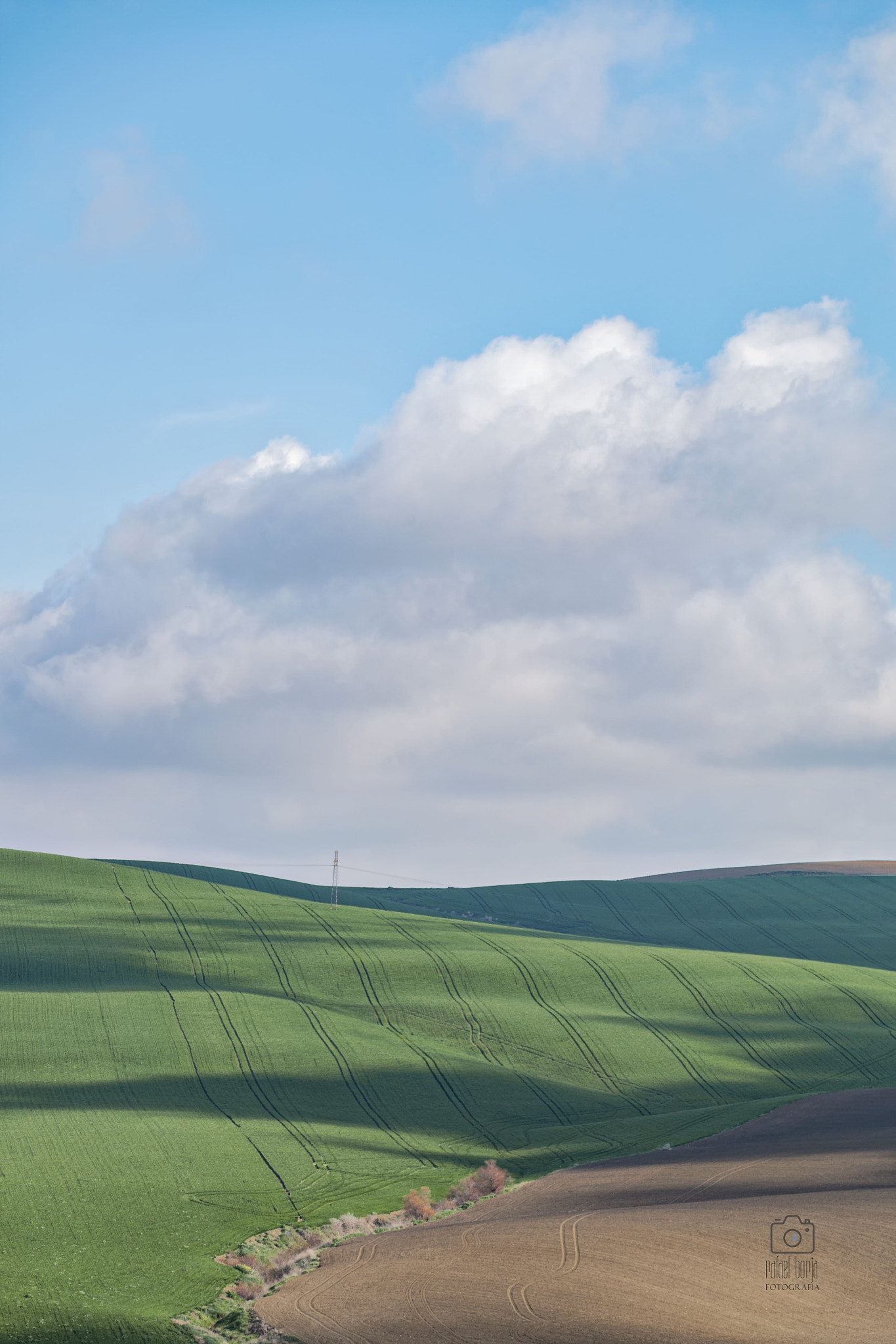 Canon EOS 70D + Canon TS-E 90mm F2.8 Tilt-Shift sample photo. Campiña cordobesa photography