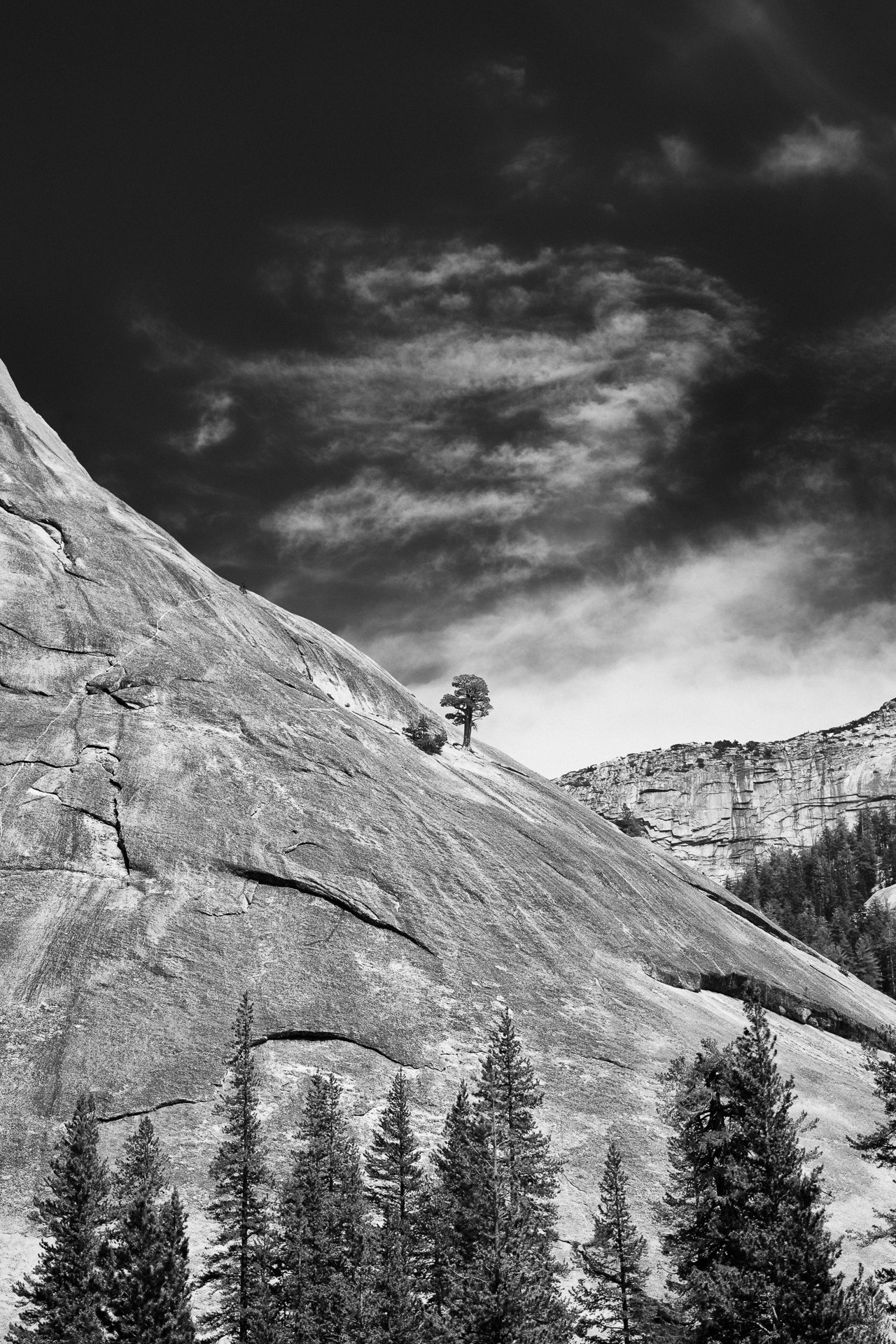 Sigma 18-35mm F1.8 DC HSM Art sample photo. Yosemite_01 photography
