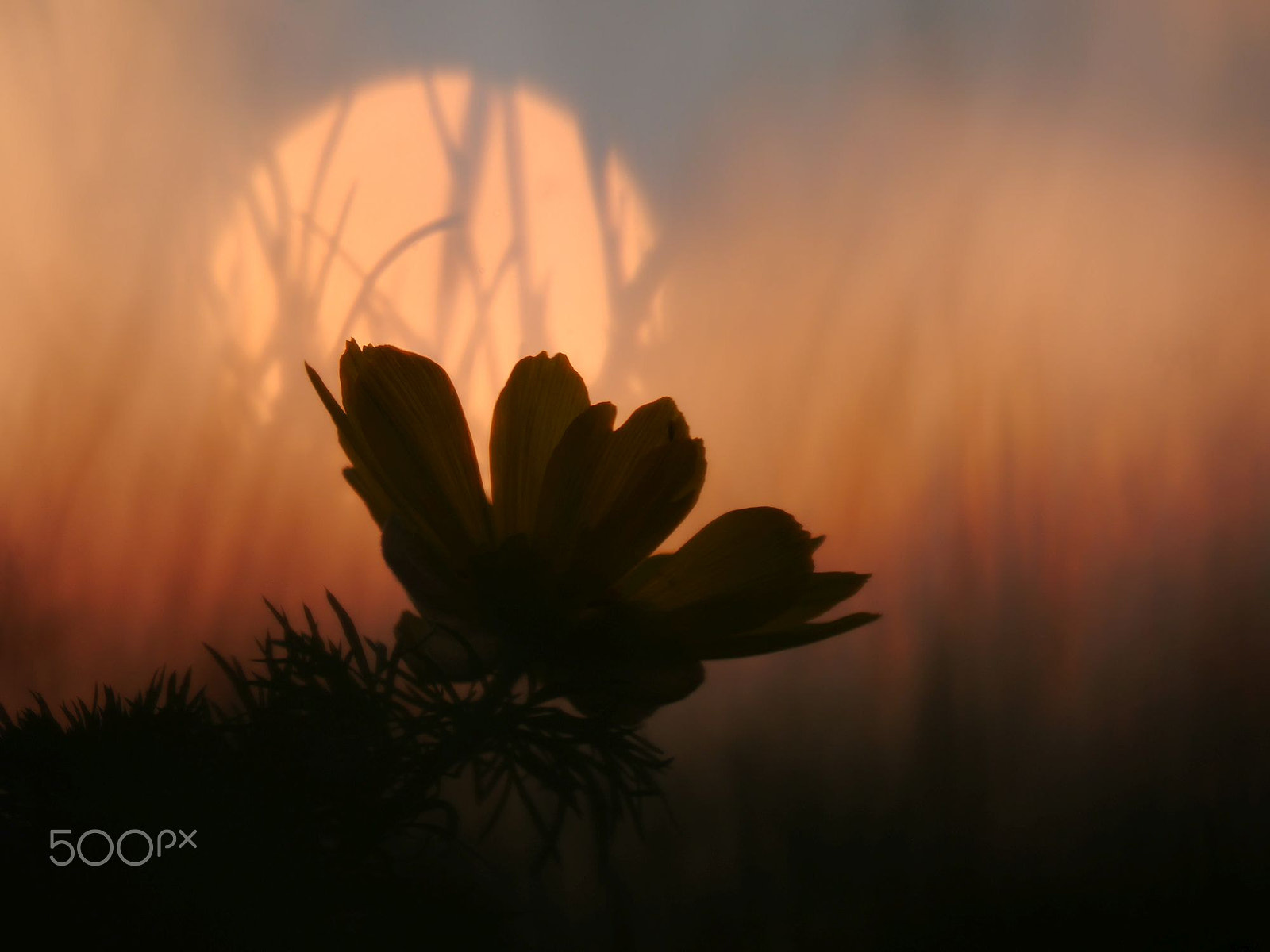 Panasonic Lumix DMC-G6 sample photo. Sunset photography