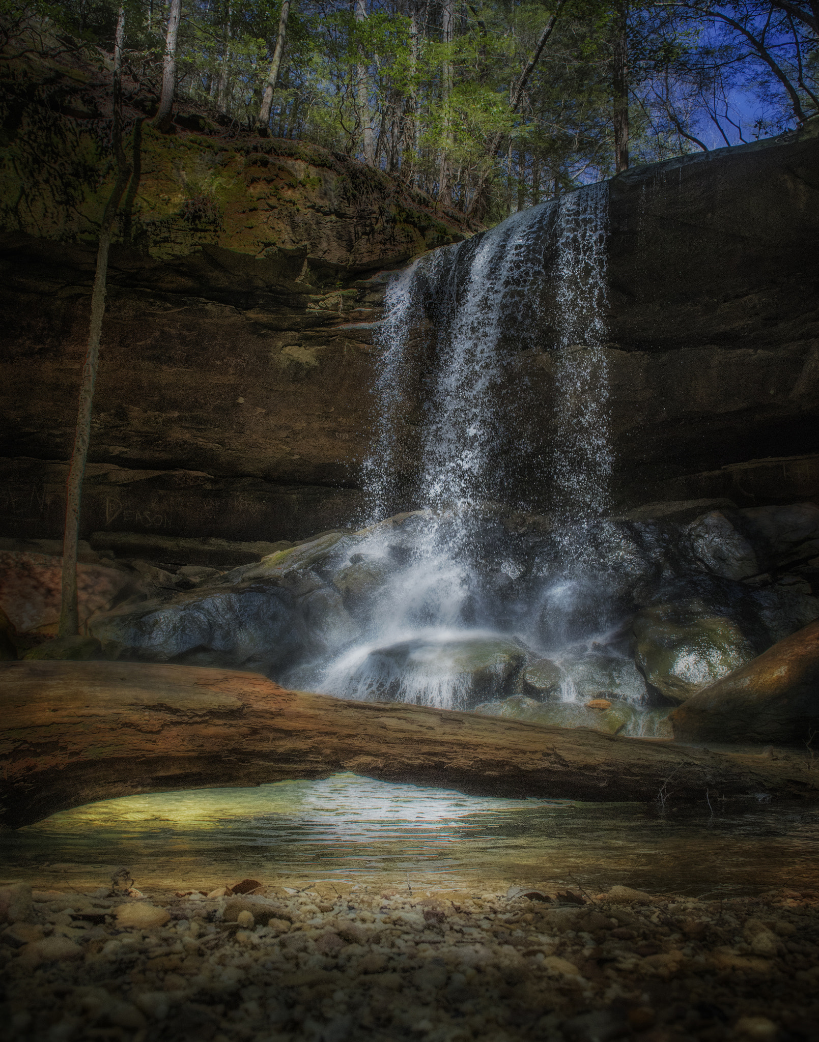 Nikon D500 sample photo. Turkey foot falls photography