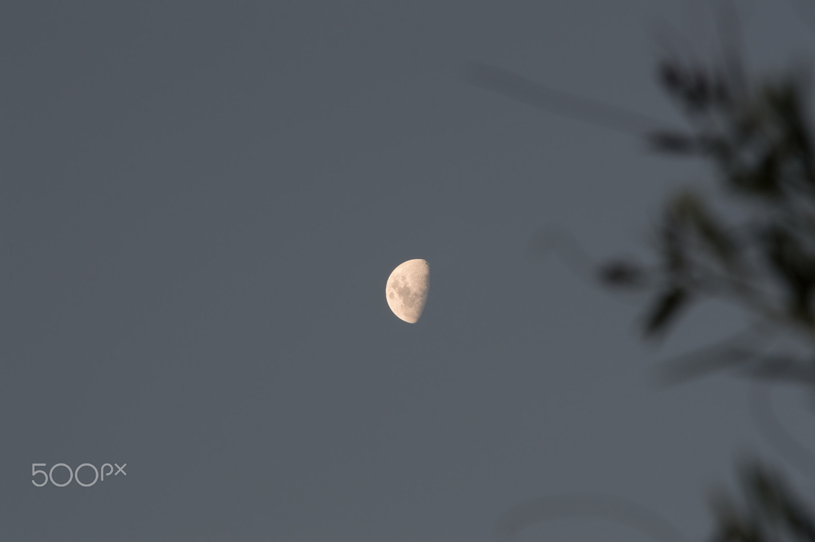 Nikon D3200 sample photo. Luna de atardecer_1 photography