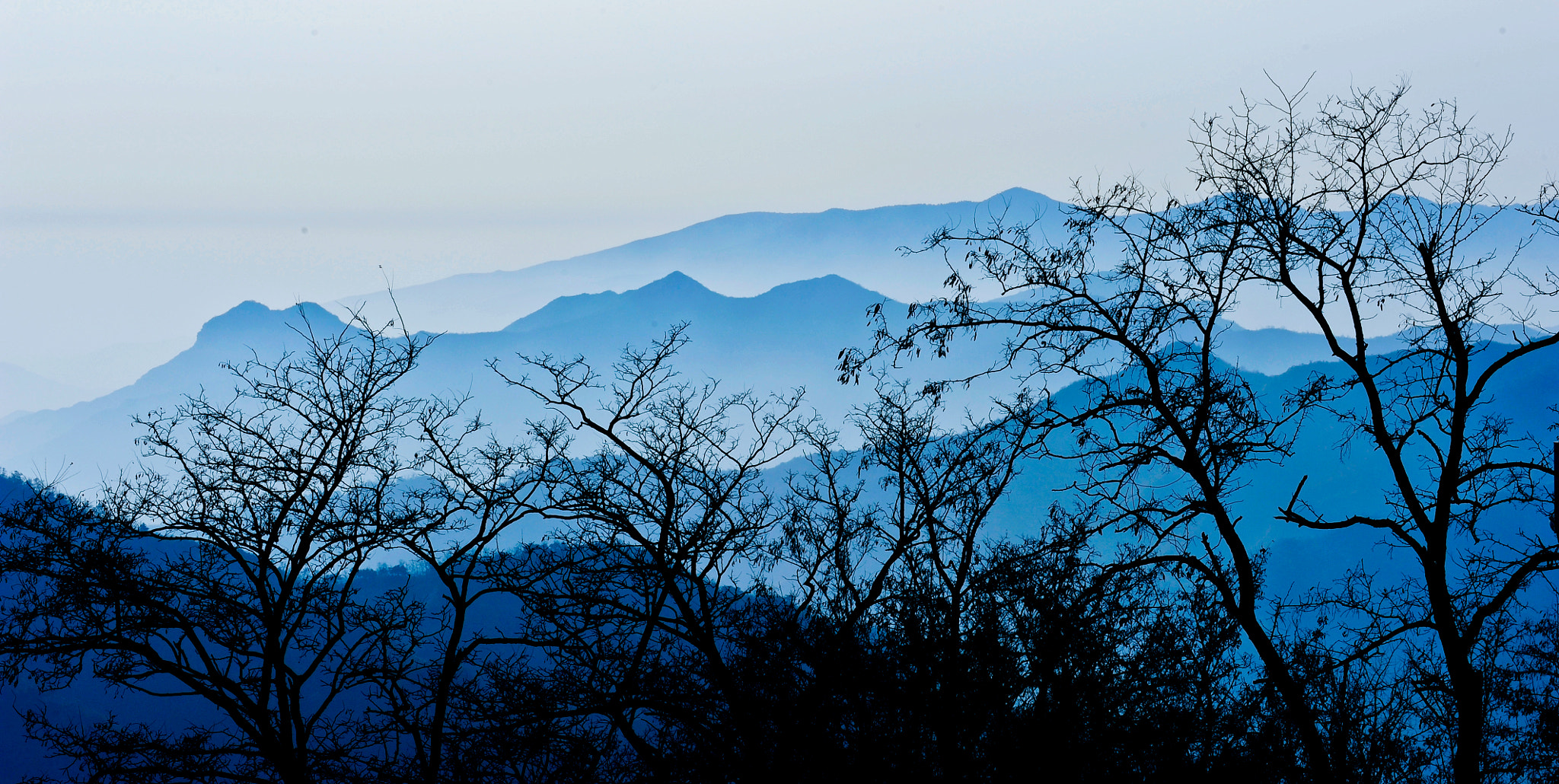 Nikon AF-Nikkor 80-200mm F2.8D ED sample photo