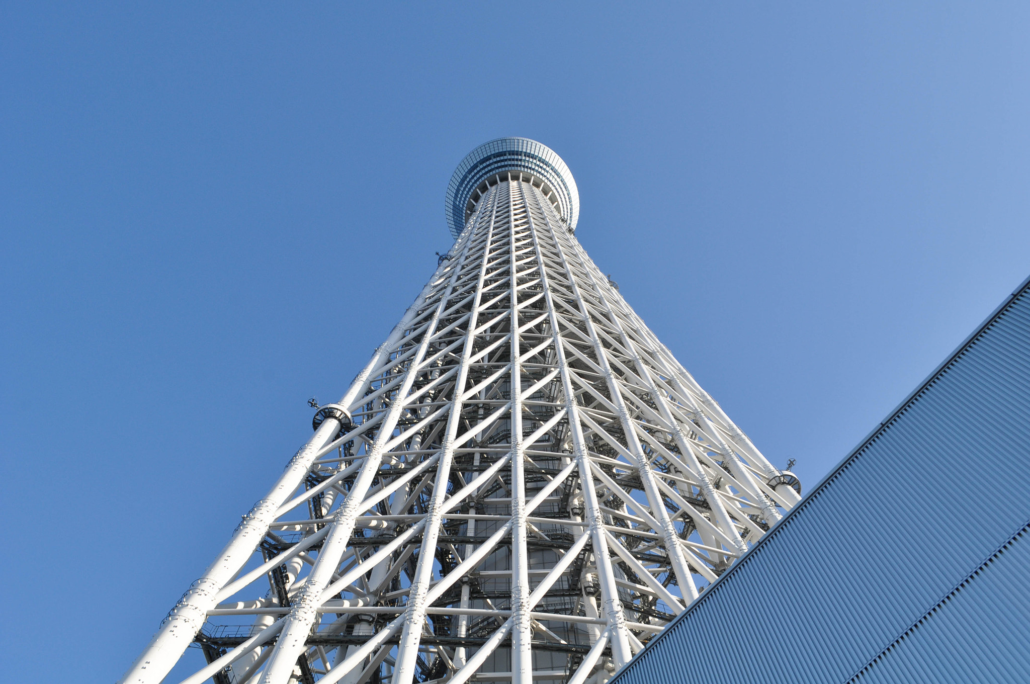 Nikon D90 sample photo. Look up photography