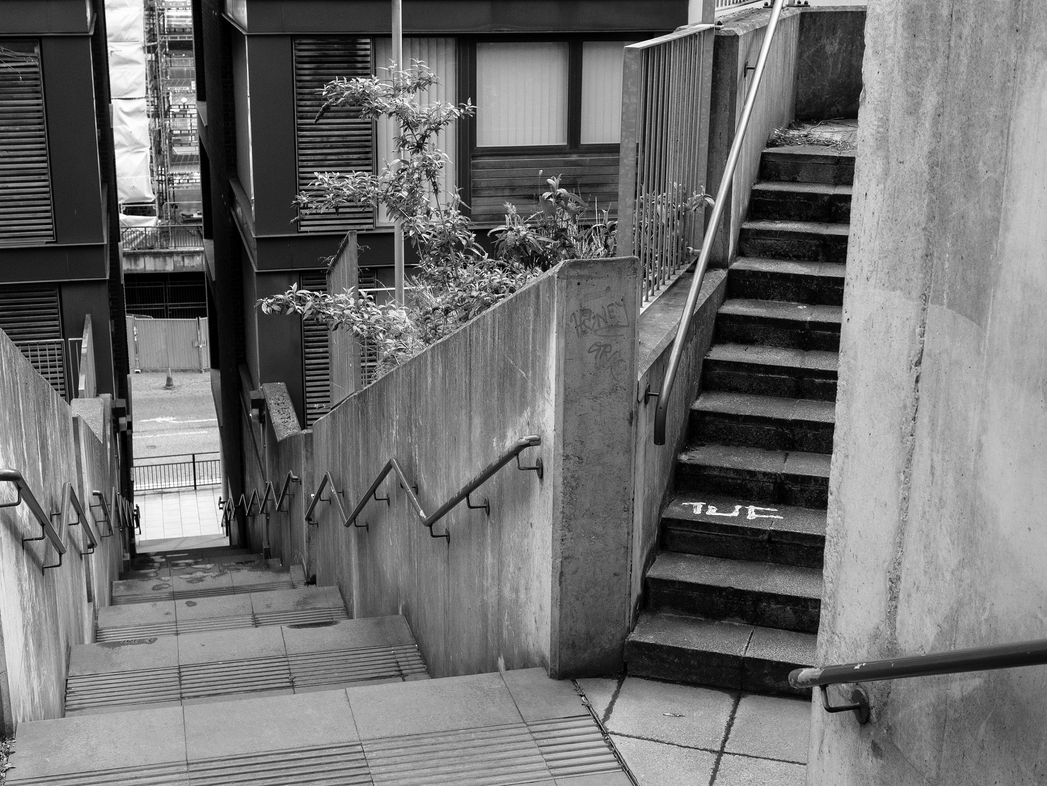 Panasonic Lumix DMC-GX85 (Lumix DMC-GX80 / Lumix DMC-GX7 Mark II) + Panasonic Leica DG Summilux 25mm F1.4 II ASPH sample photo. Toontime photography