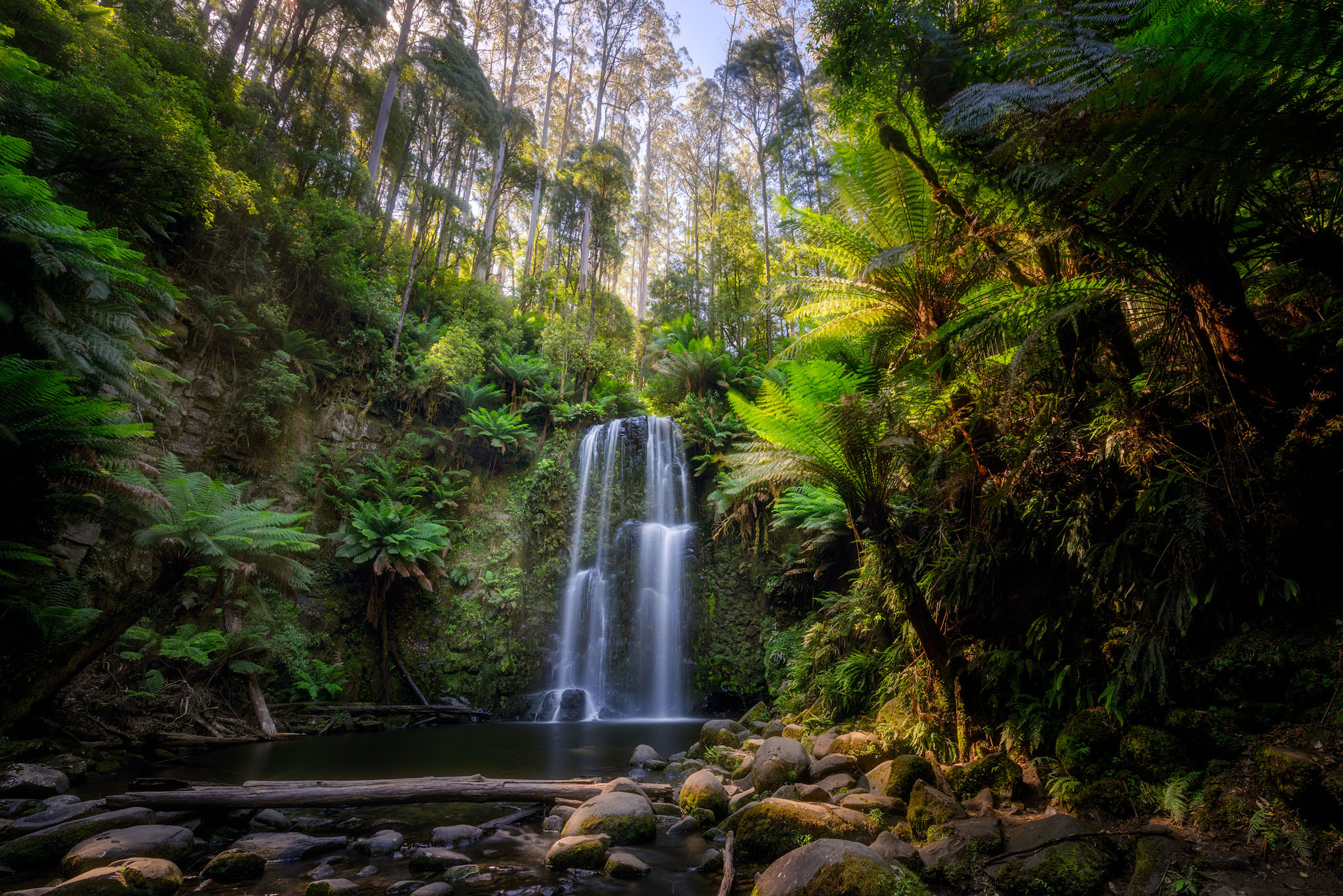 Nikon AF-S Nikkor 14-24mm F2.8G ED sample photo. Jewel of the great otway photography