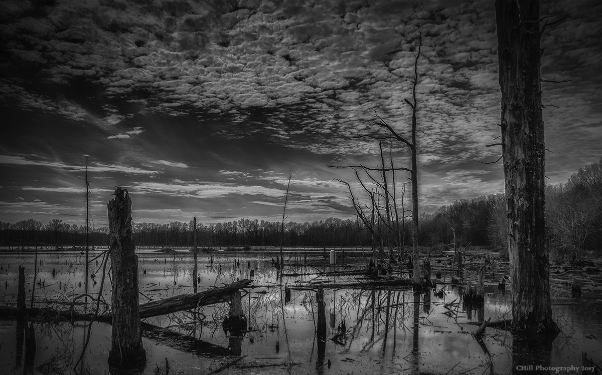 Sigma 18-250mm F3.5-6.3 DC OS HSM sample photo. Sandy ridge photography