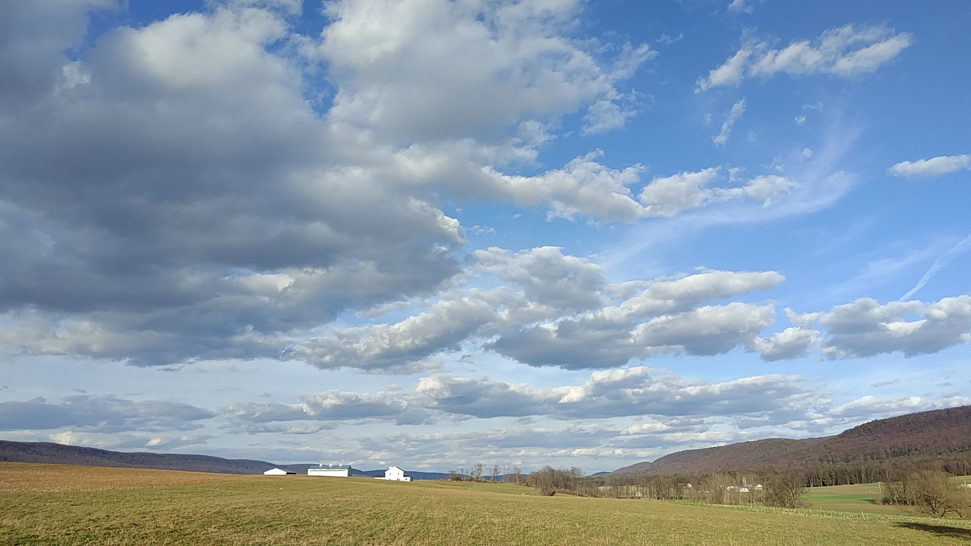 ZTE A2017U sample photo. Skies in spring photography