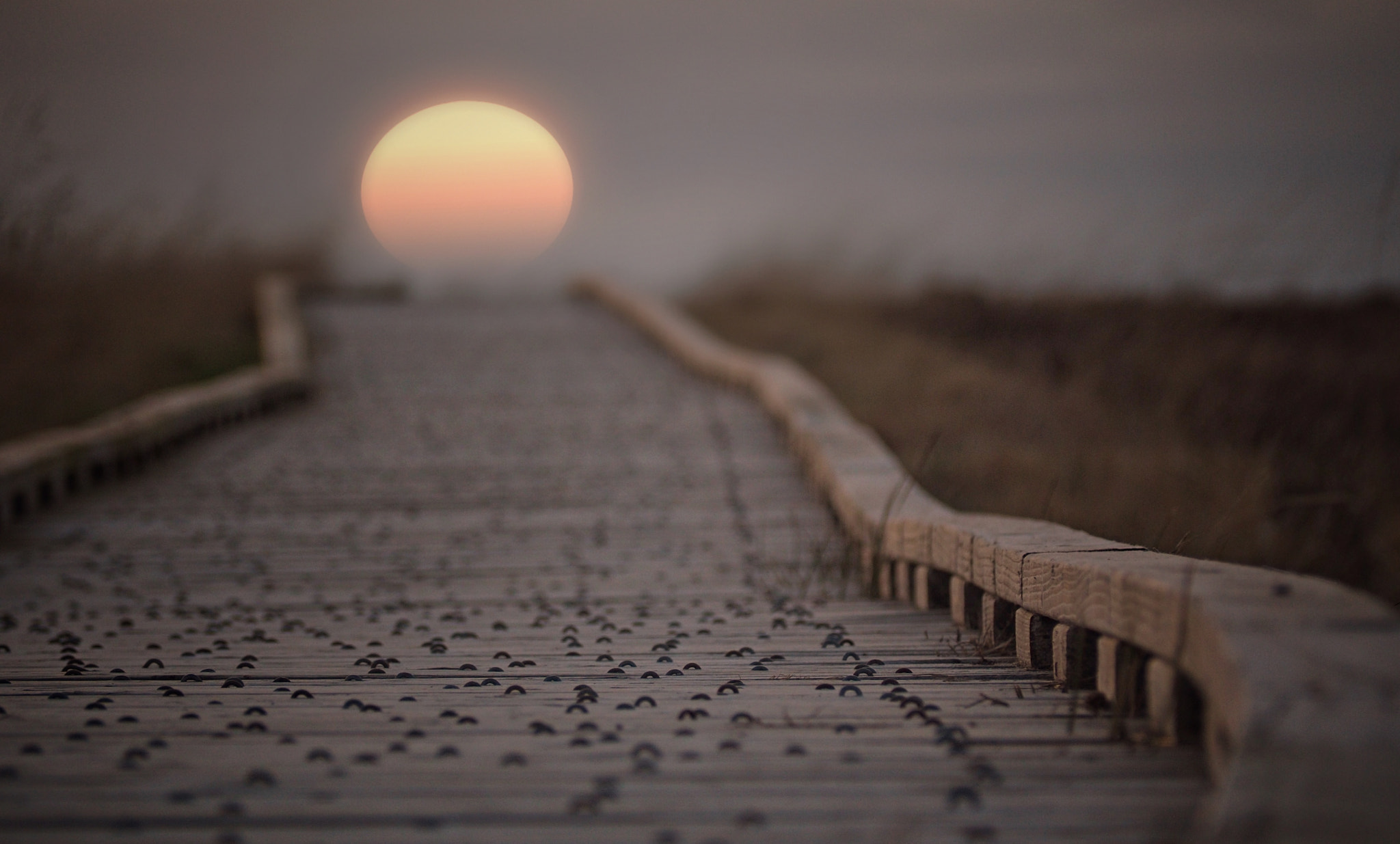 Olympus OM-D E-M10 II sample photo. Sunset photography