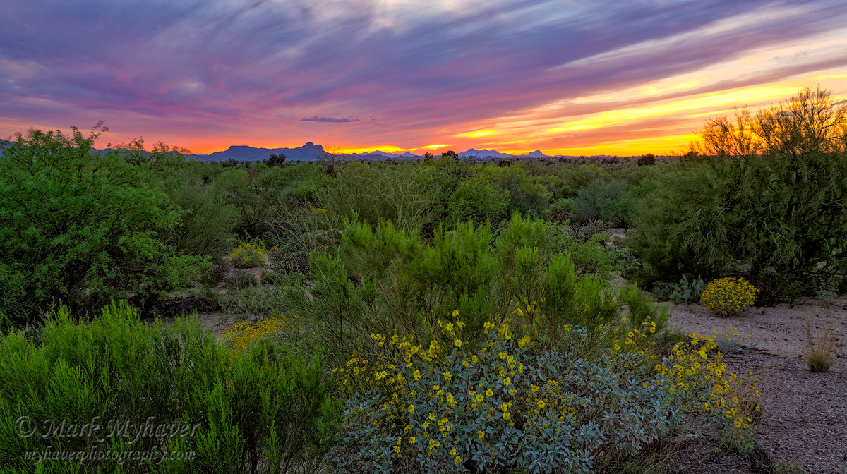 Nikon D7100 + Tamron SP AF 17-50mm F2.8 XR Di II VC LD Aspherical (IF) sample photo. Oro valley sunset h37 photography