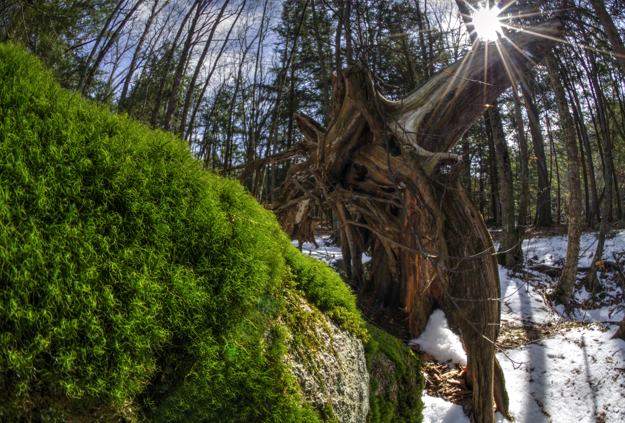 Nikon D5100 + Nikon AF DX Fisheye-Nikkor 10.5mm F2.8G ED sample photo. Warmer days ahead photography