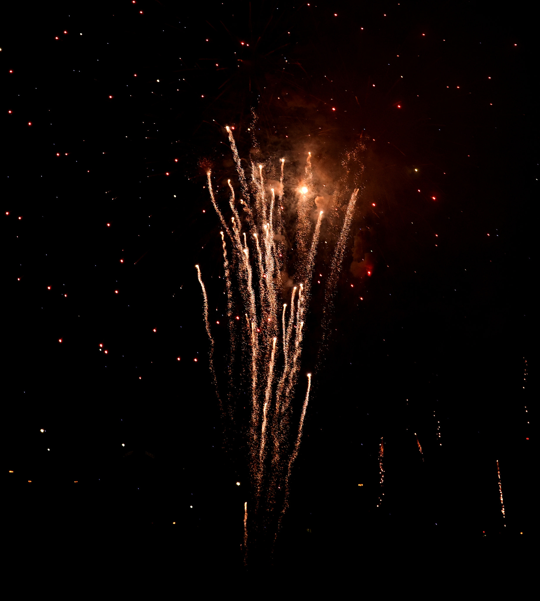 Sigma 150-600mm F5-6.3 DG OS HSM | S sample photo. Explosion of color photography
