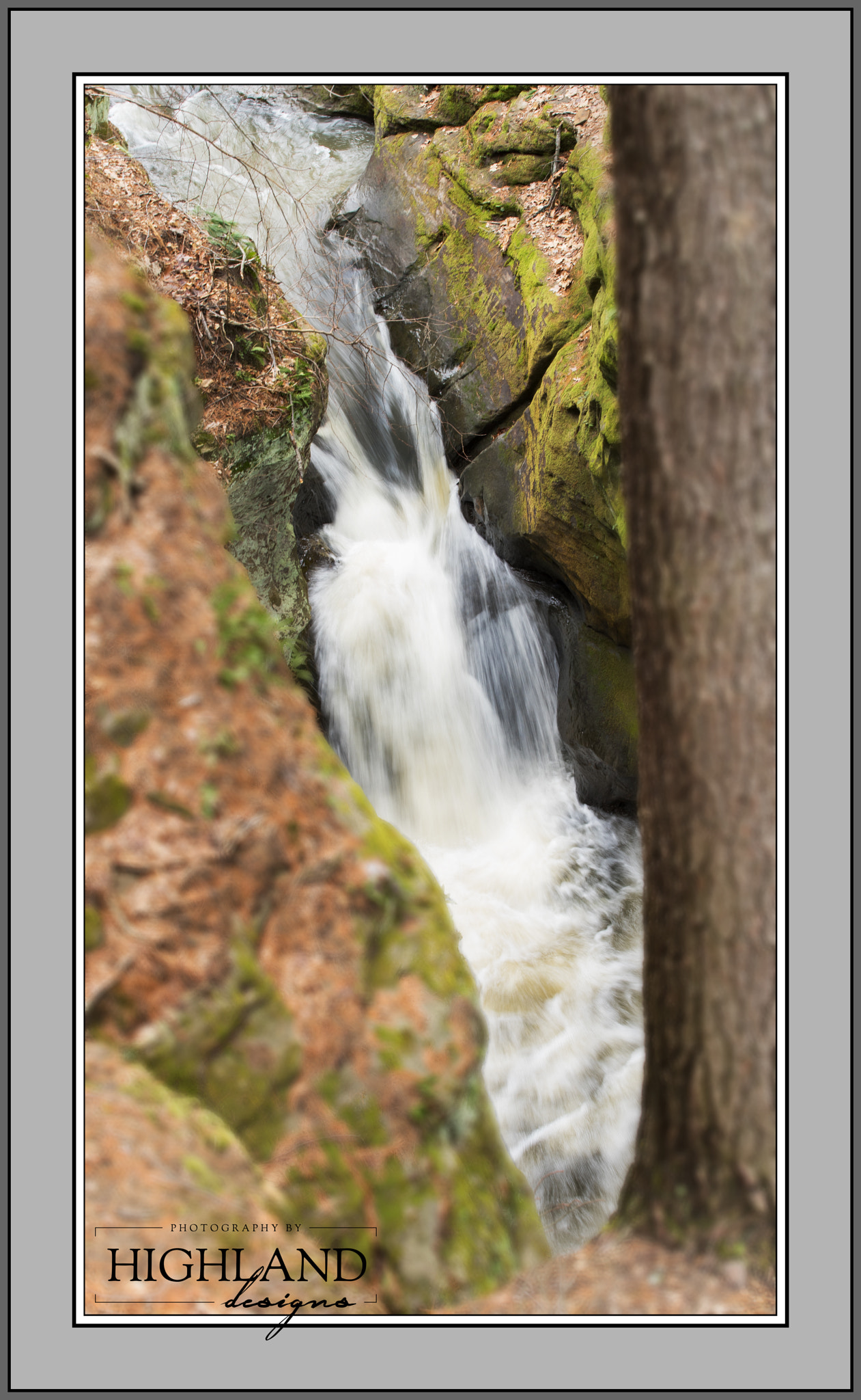 Sony a7 II sample photo. A look through the trees & rocks photography