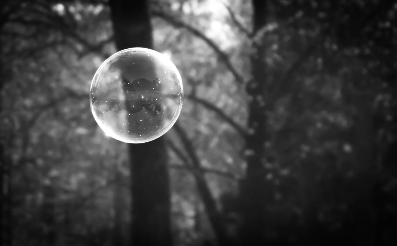 Canon EOS 550D (EOS Rebel T2i / EOS Kiss X4) sample photo. Bubble photography