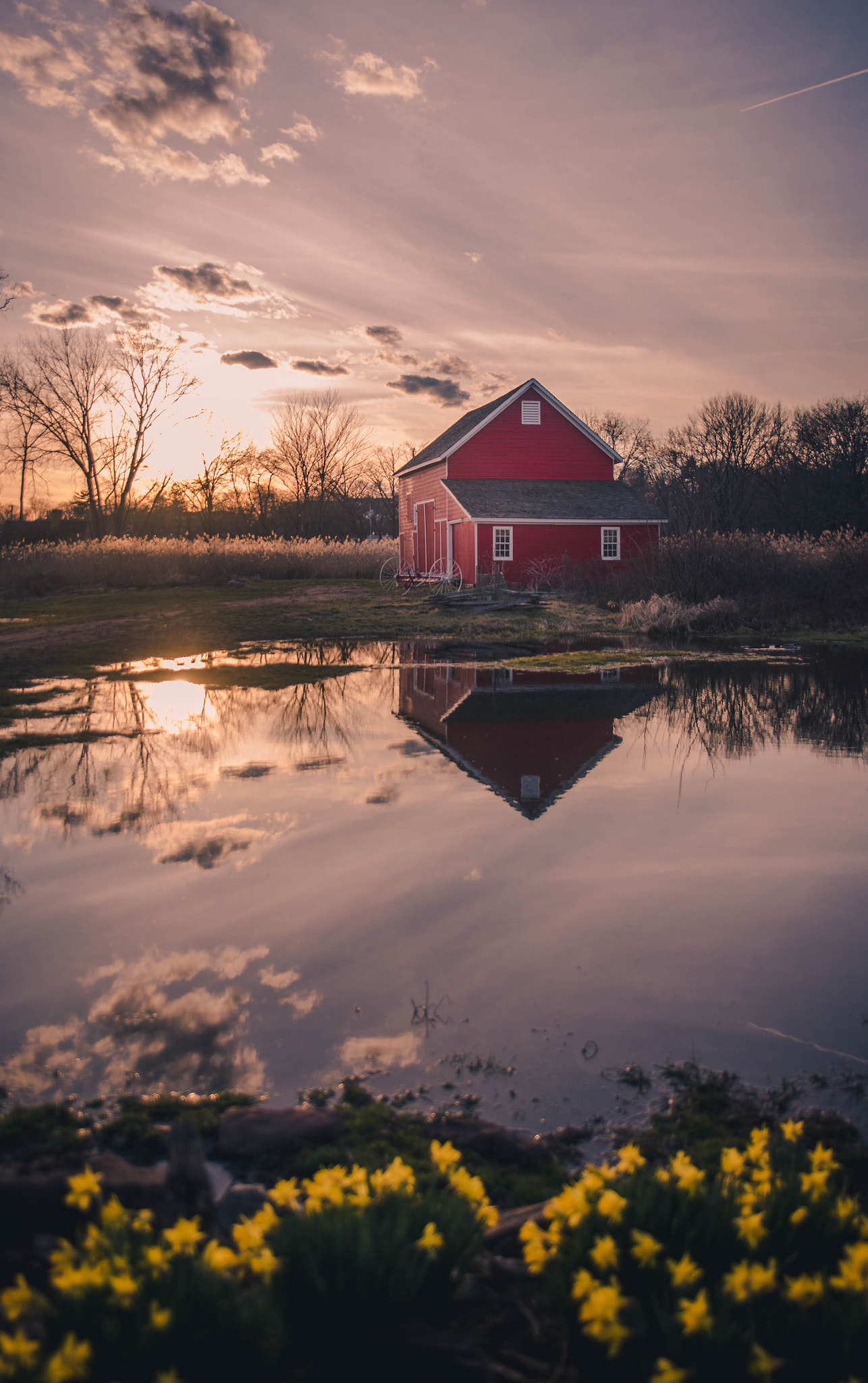 Nikon D750 + Sigma 24-70mm F2.8 EX DG HSM sample photo. Reflected  photography