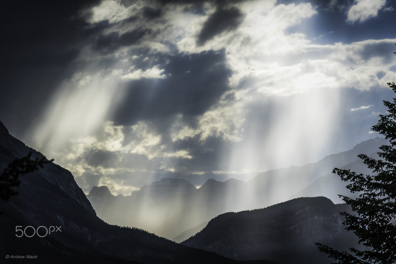 Sony a6300 + Sony FE 90mm F2.8 Macro G OSS sample photo. Sunshine in the mountains photography