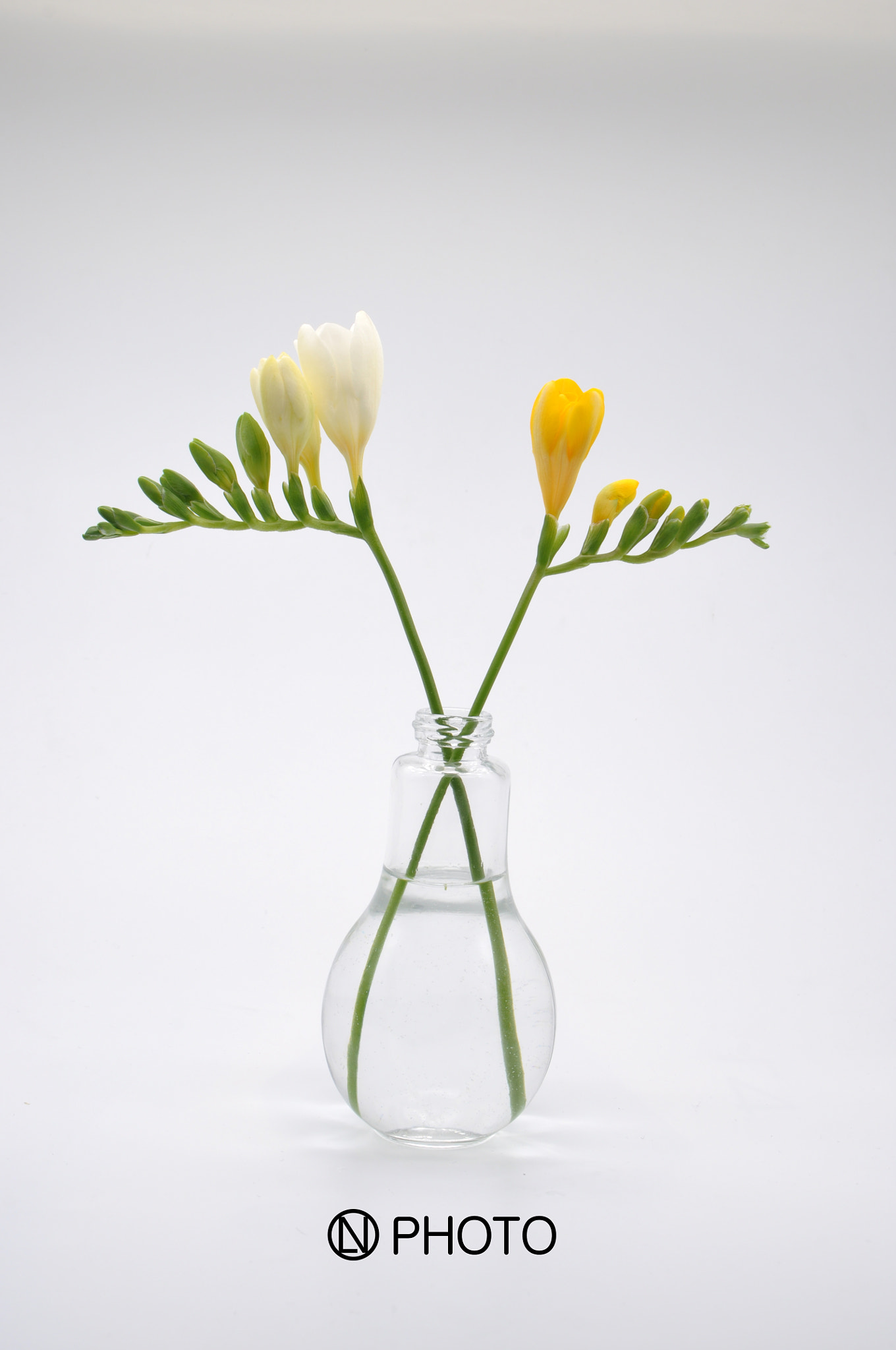 Nikon D90 sample photo. Flowers photography