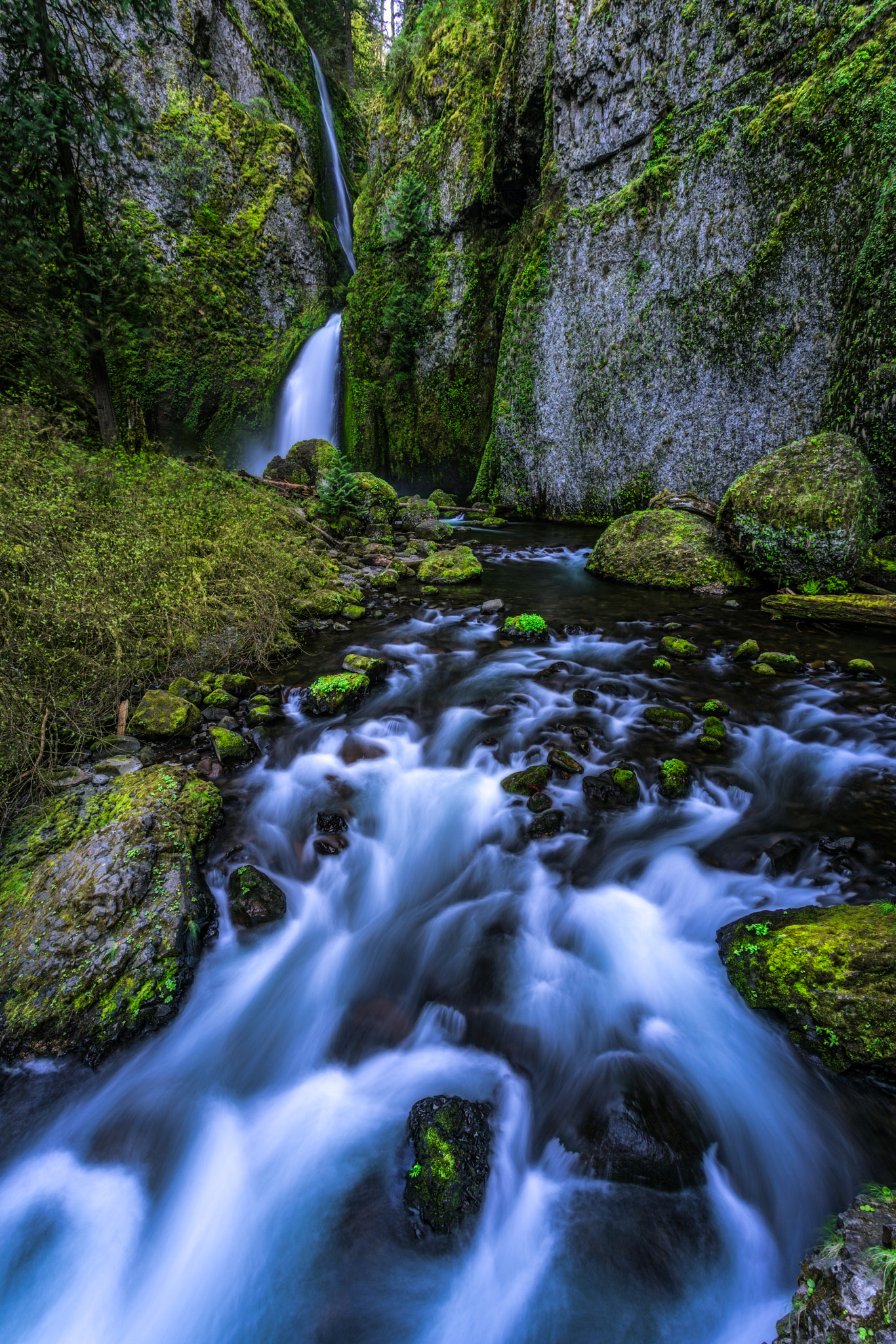 Sony a7R II + Canon EF 17-40mm F4L USM sample photo. Wahclella falls photography